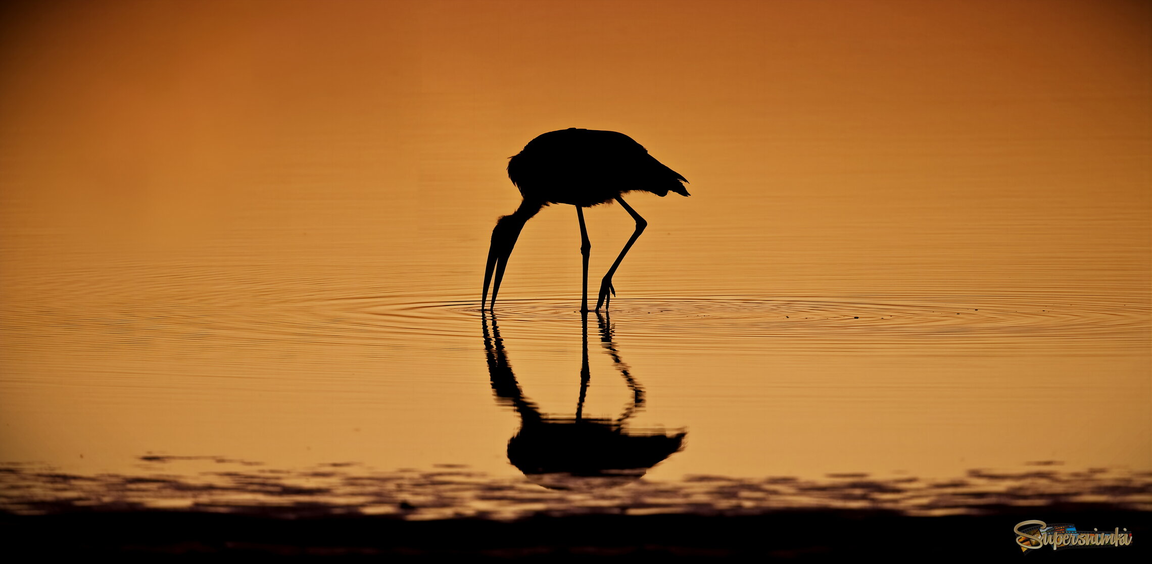 Все вкусняшки - под водой