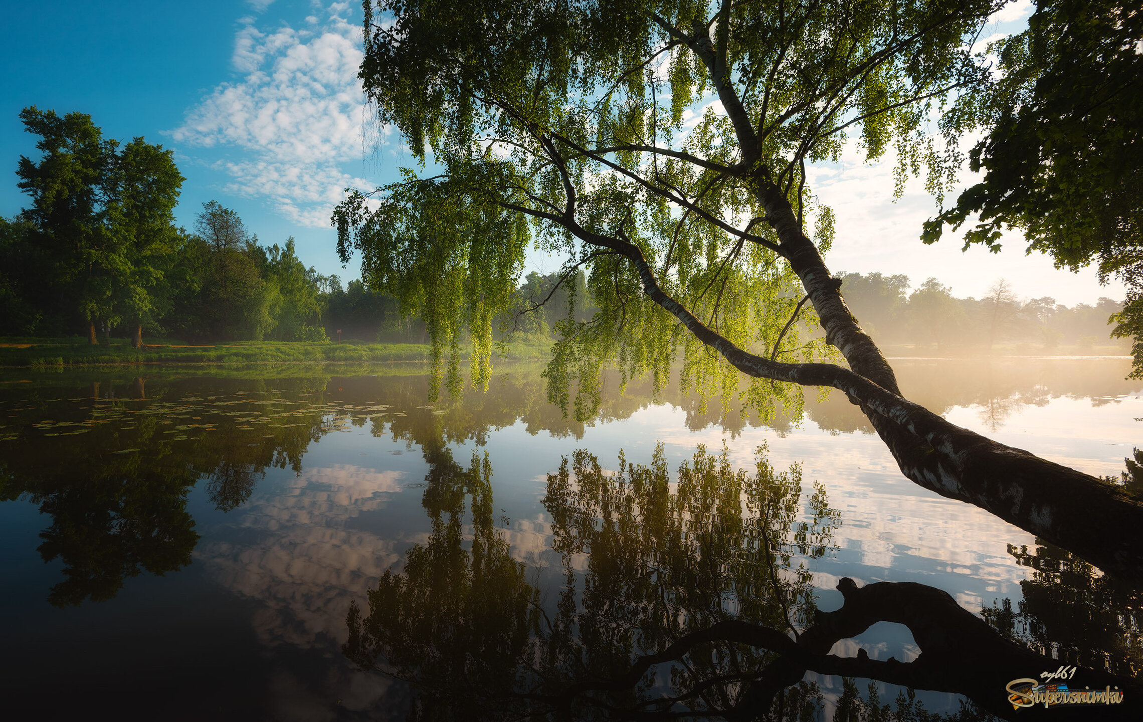Все оттенки тишины