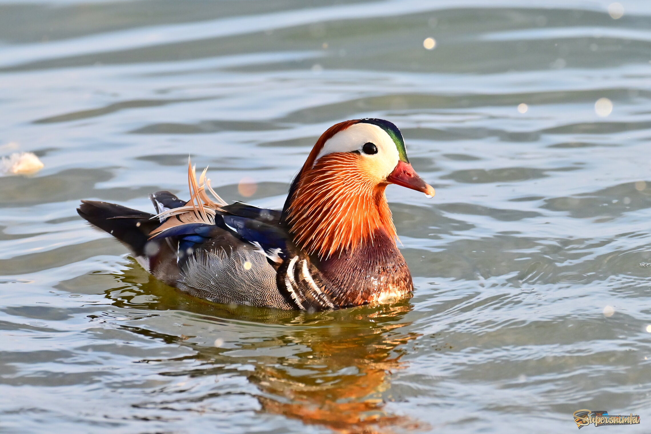 Мандаринка 