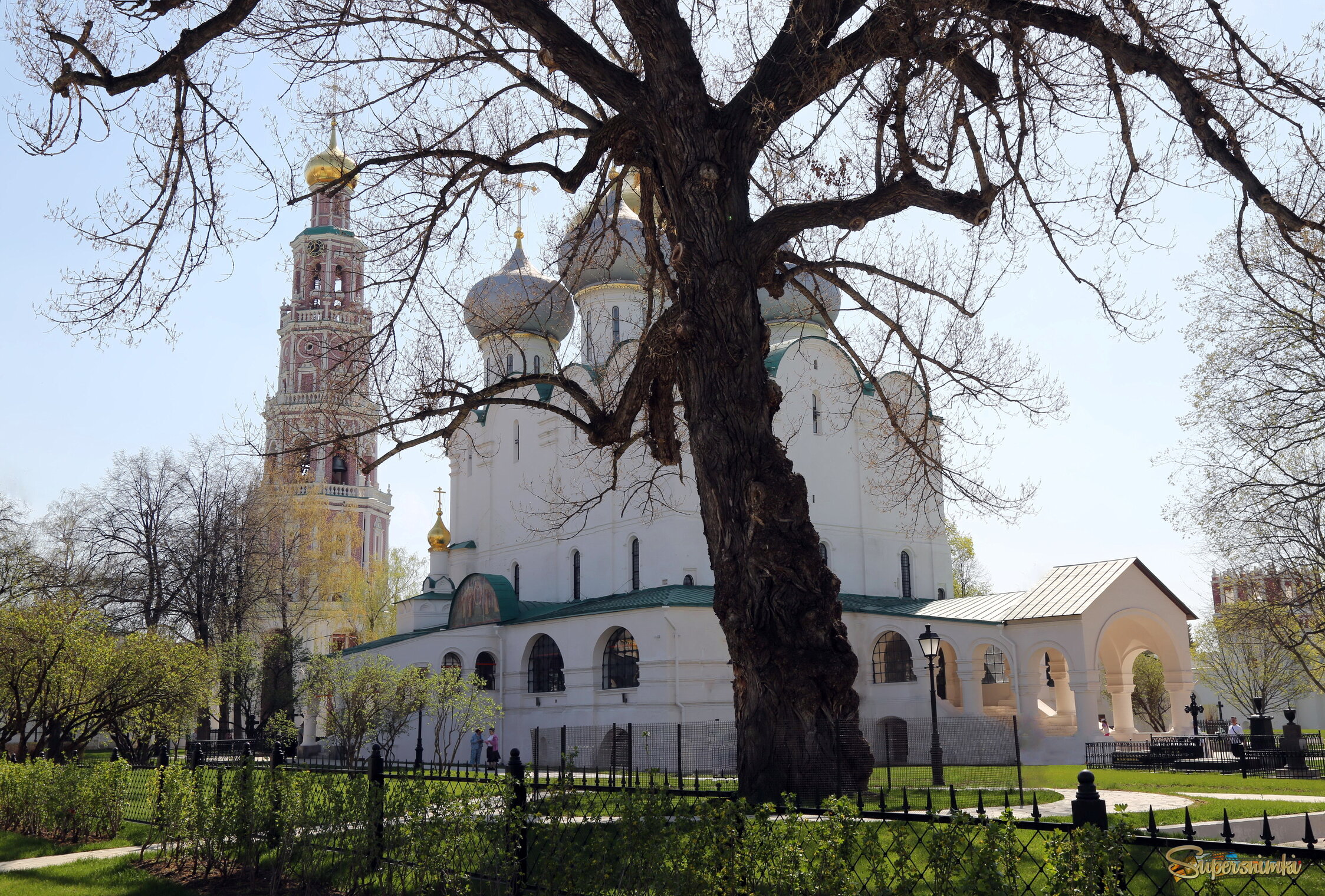 Смоленский собор, старое дерево, 1525г.