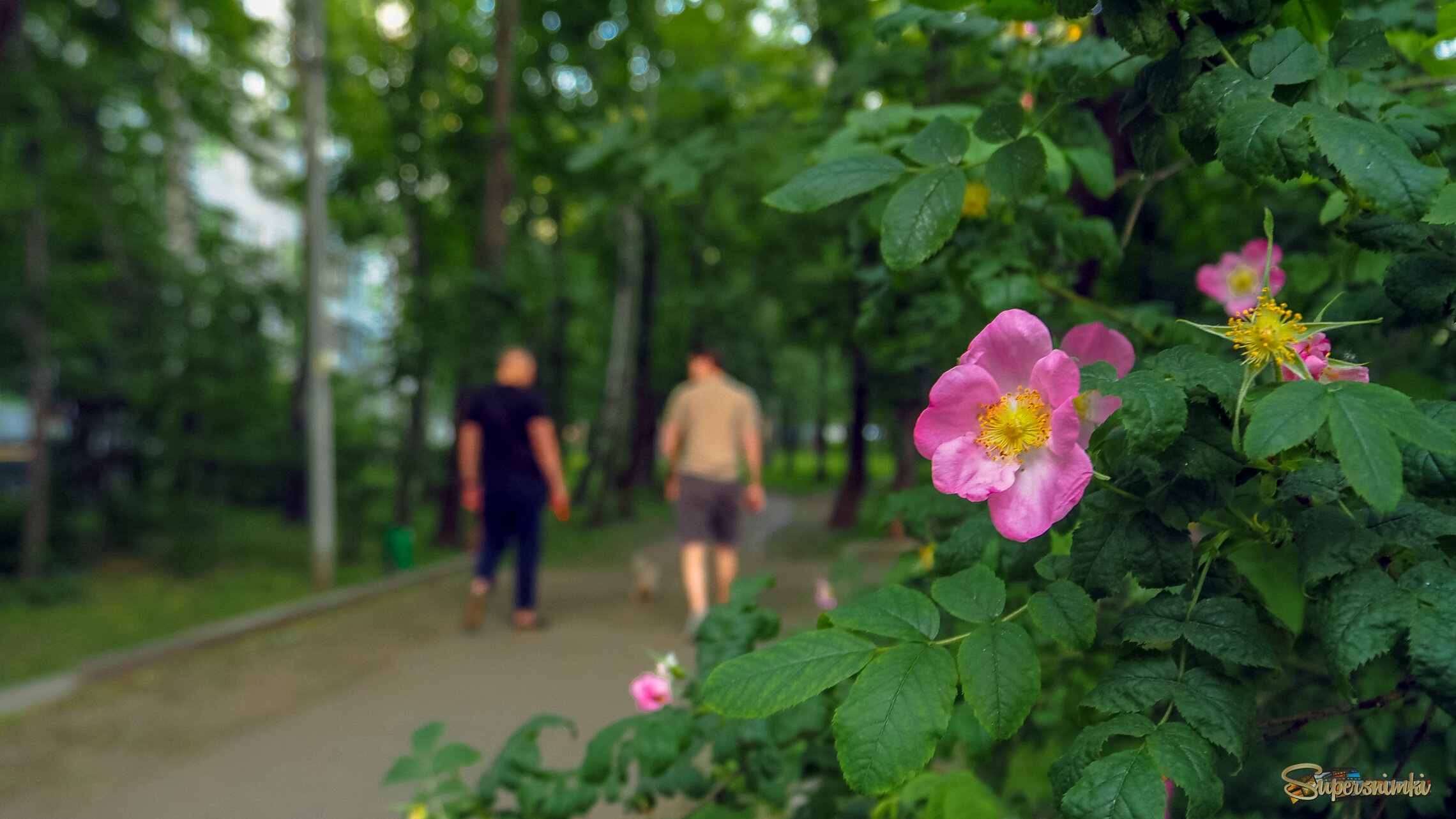 Природа в Городе