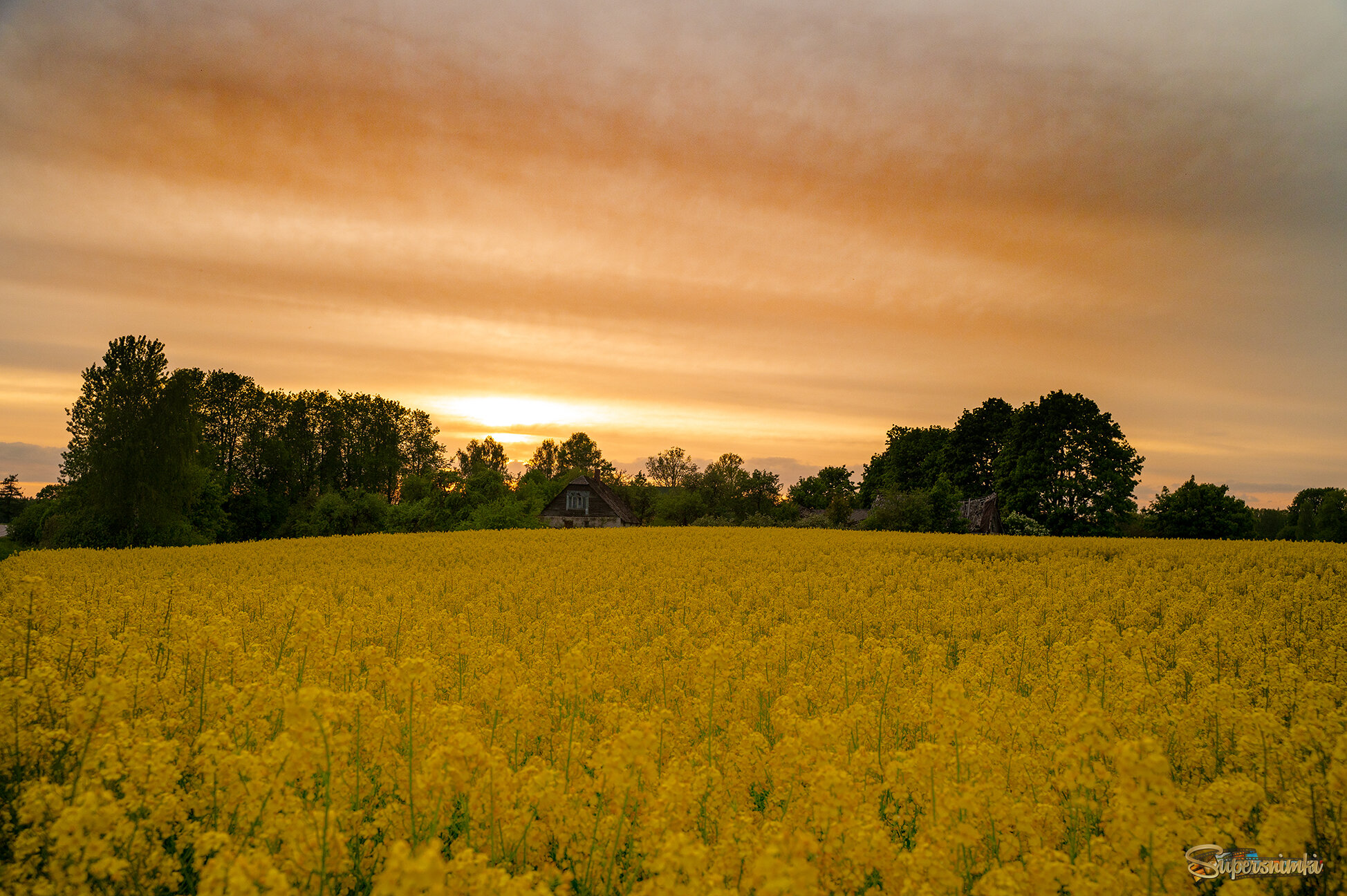 683977ad4dd0a828e76389b8