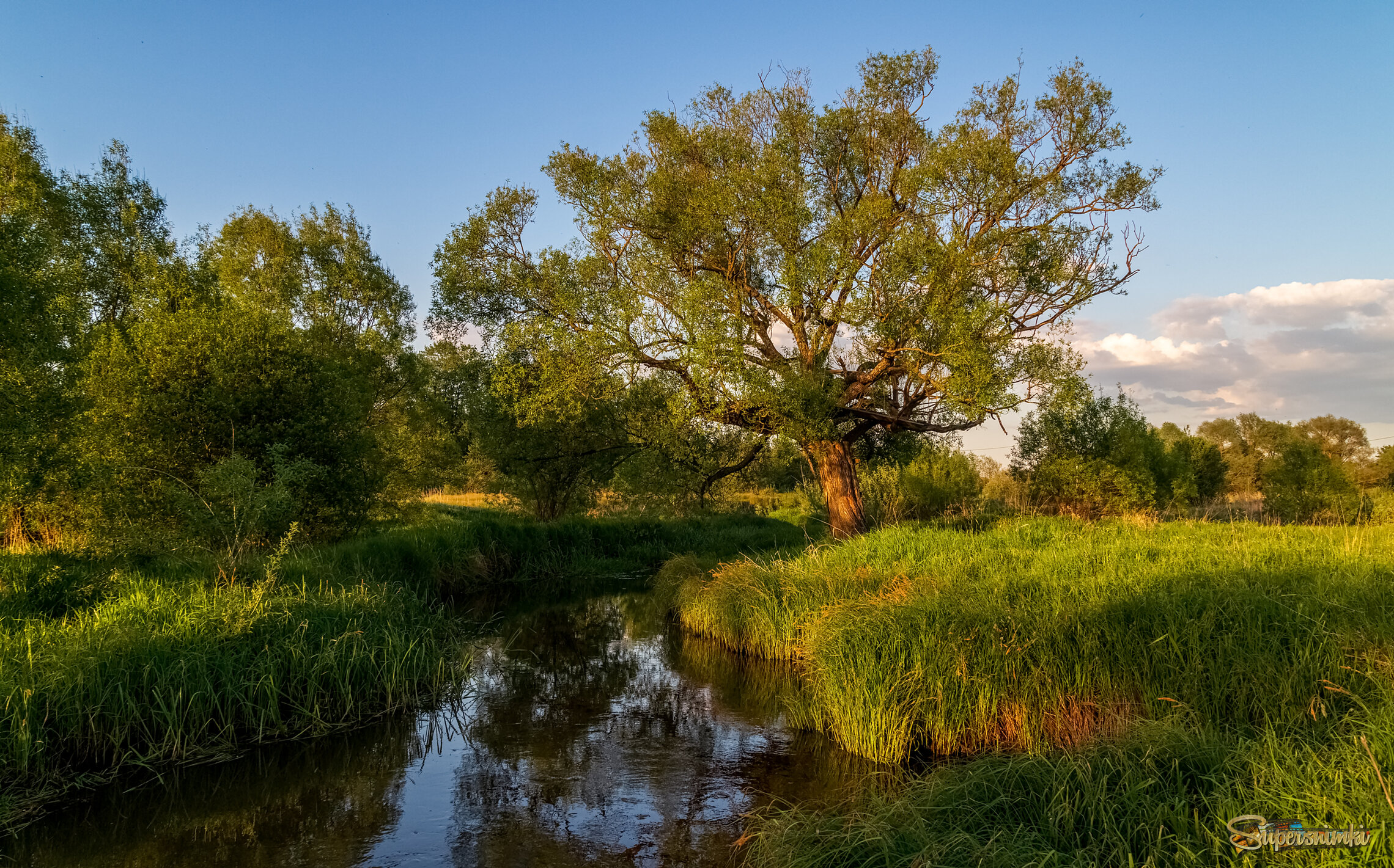 Родные берега 3 