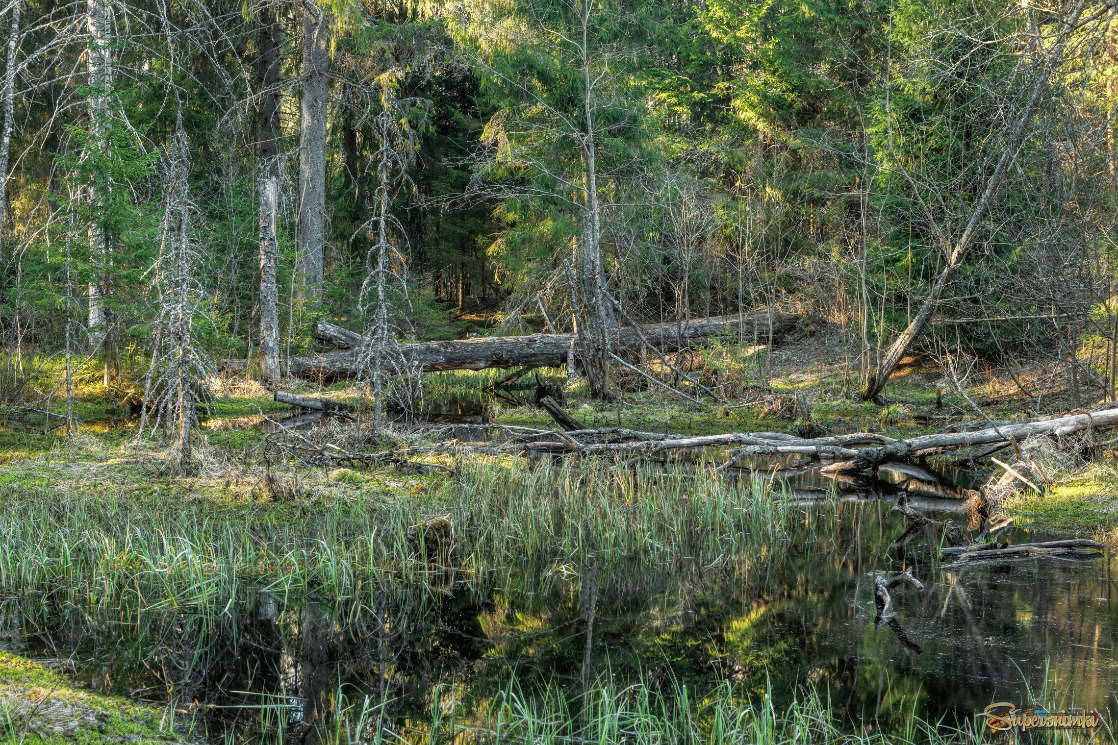 Весна на болтах