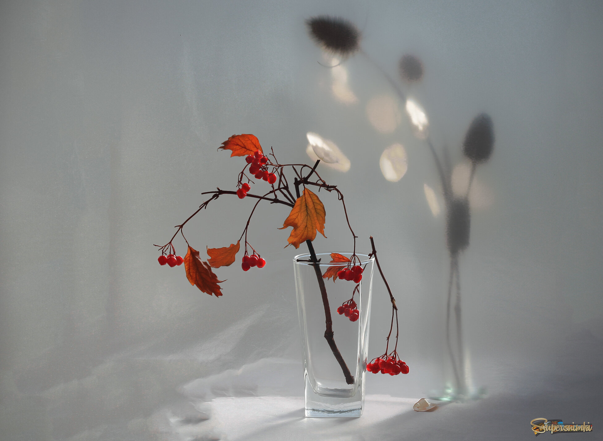 Осенний свет