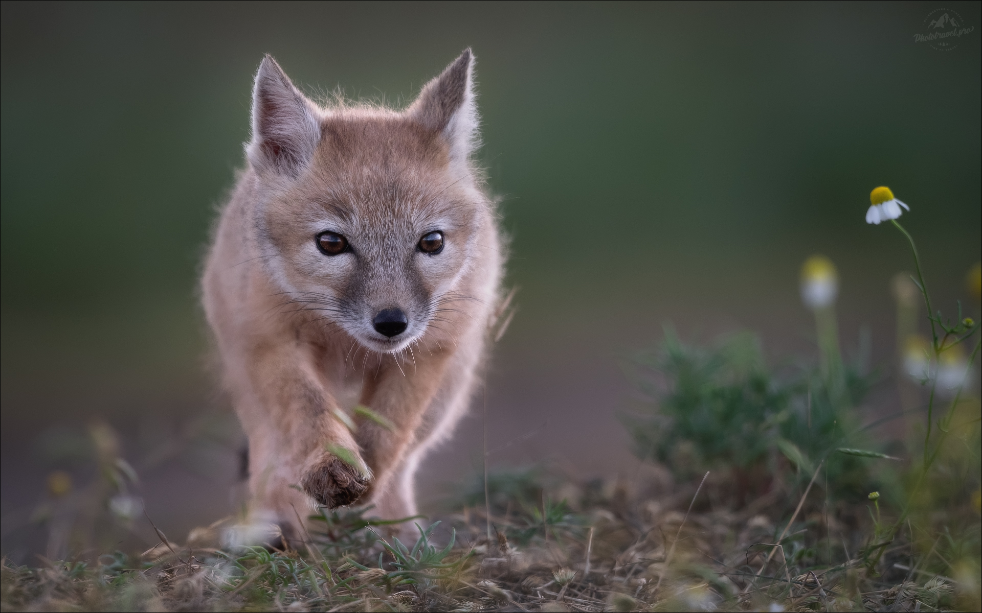 Шаг в неизведанное