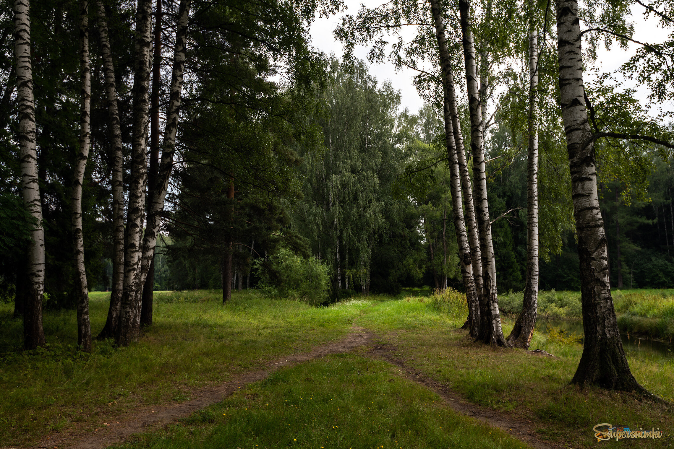 Утро в парке