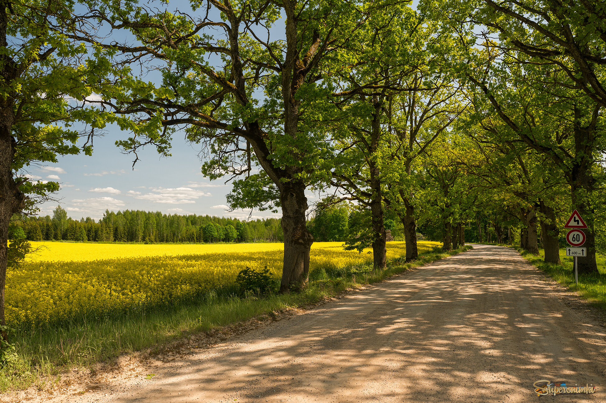 683c85a3330f7b39d46389b2