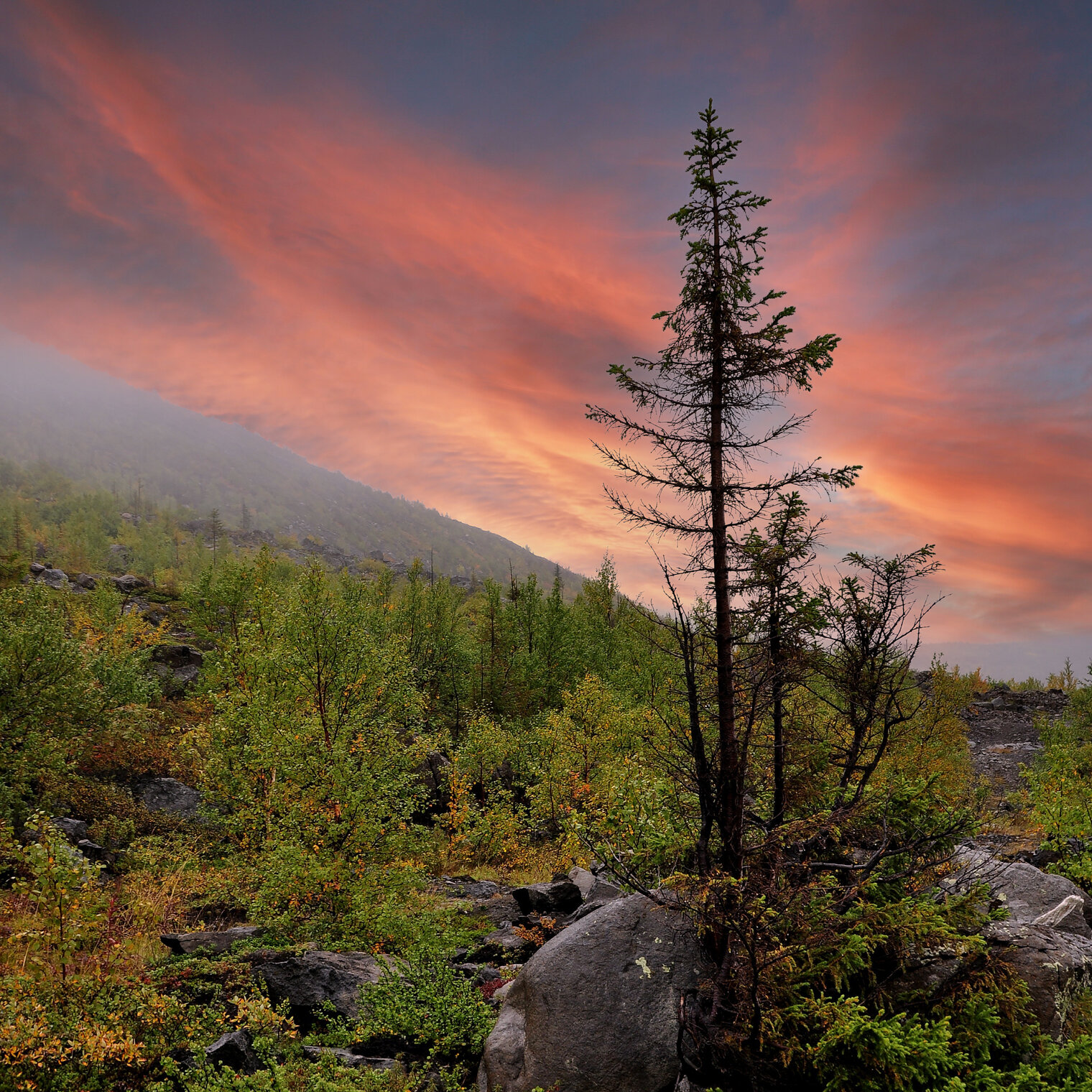Мончетундра (подножие, предгорье)