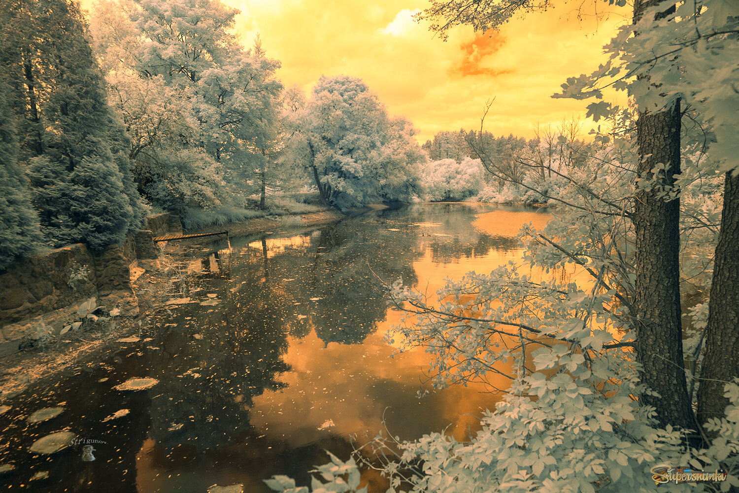 С первым днём лета.