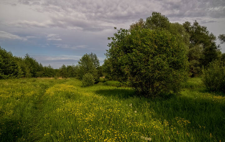 Последний день весны 