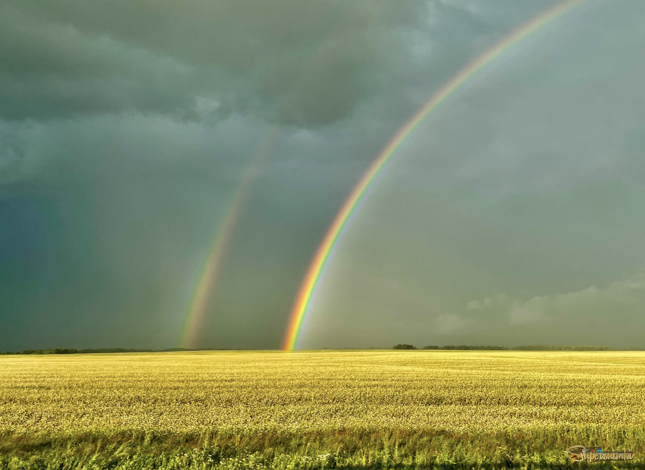 Каждый охотник желает знать…