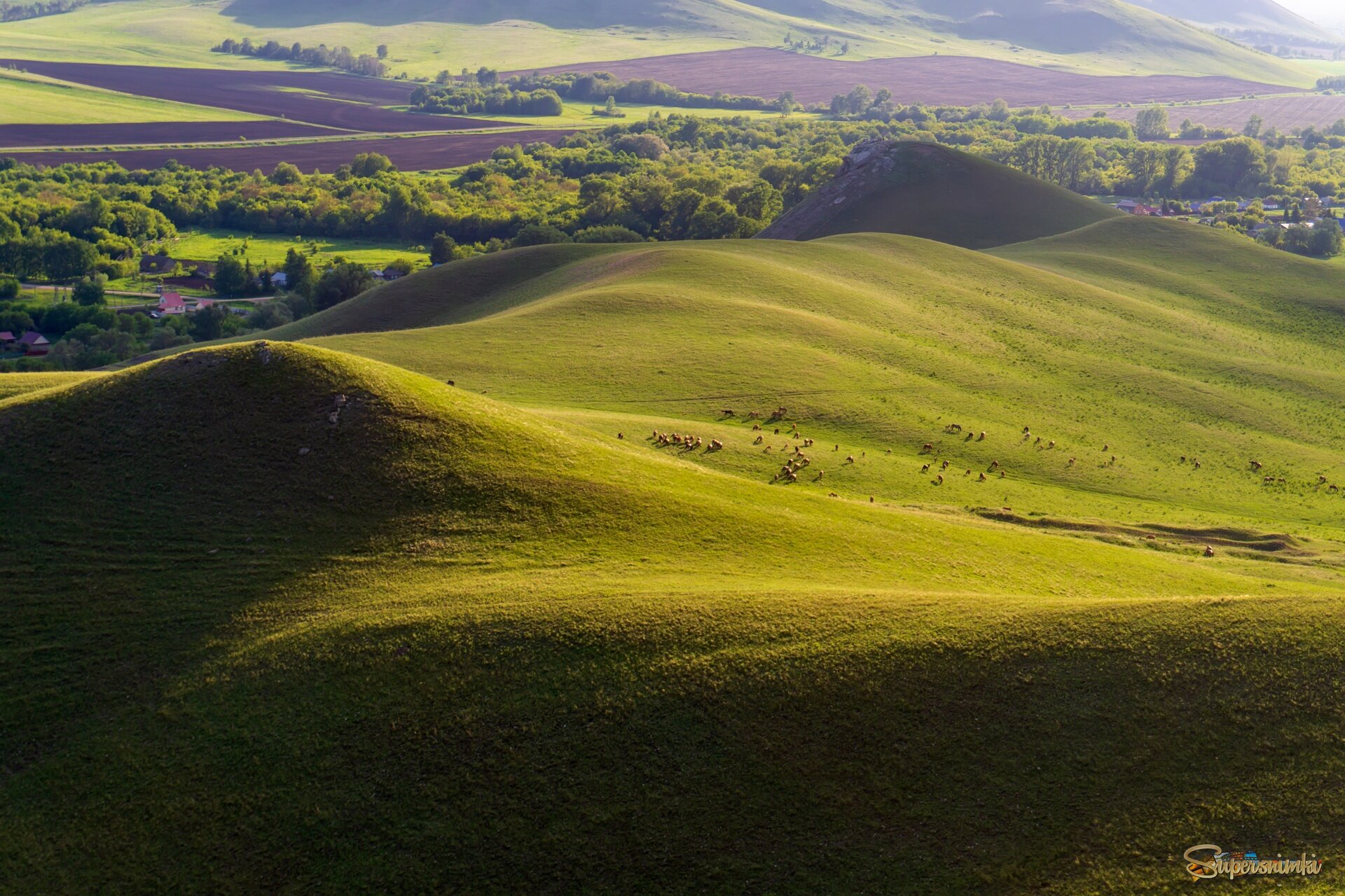 Ладонь Бога