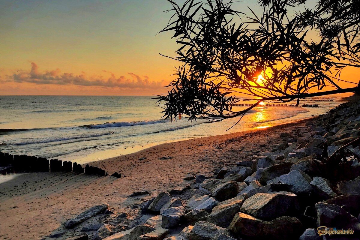  Летние утро