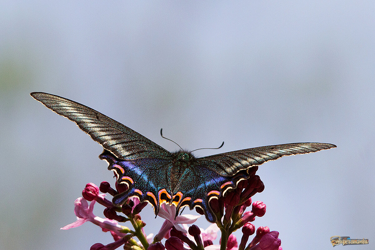 Готовность к взлету.