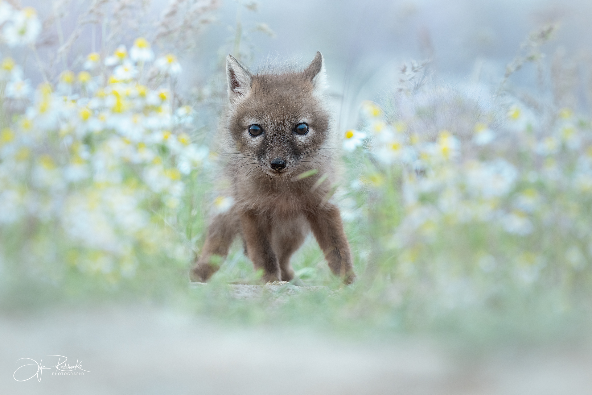 Здравствуй, Мир! 