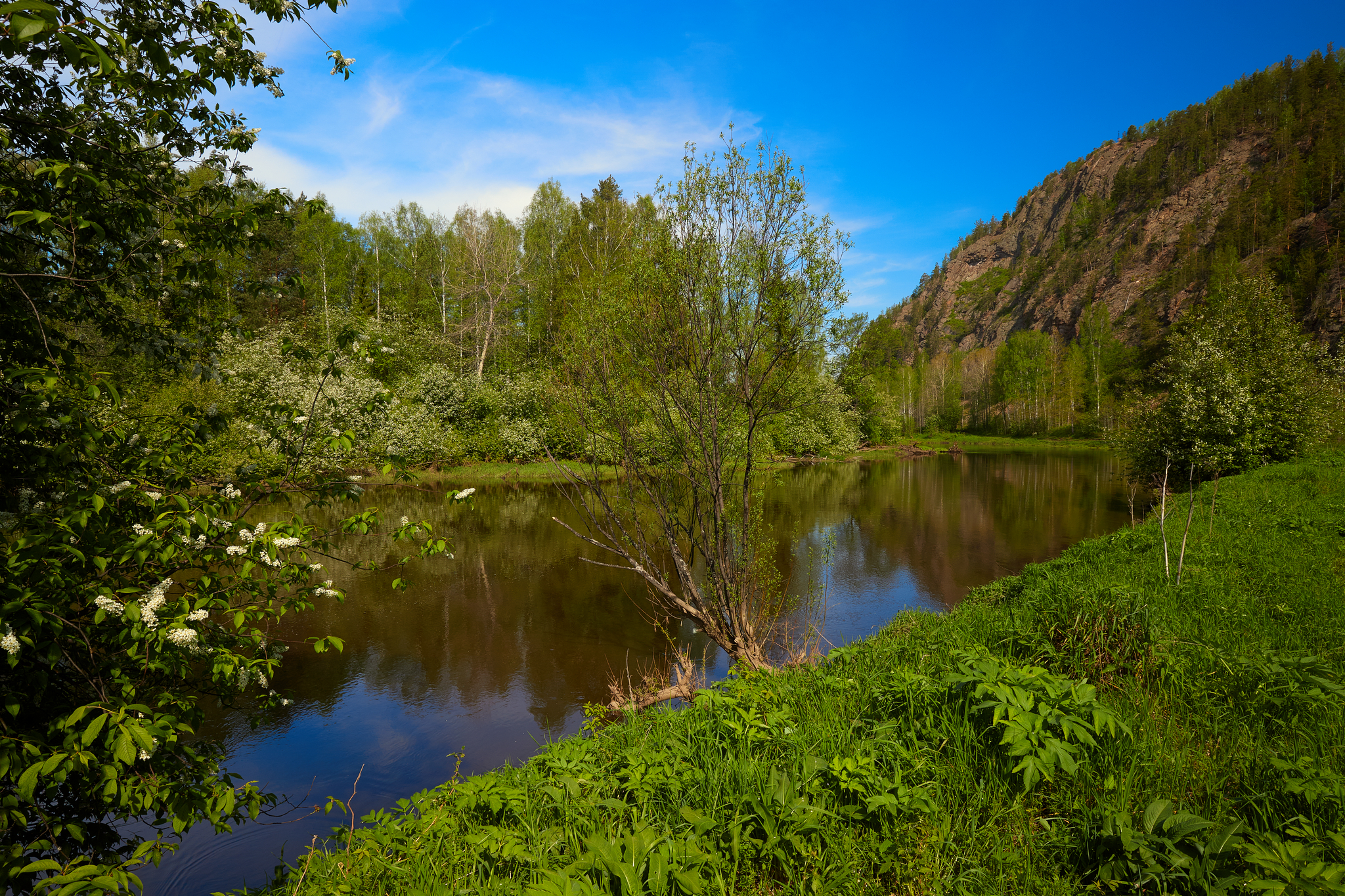 Был месяц май.