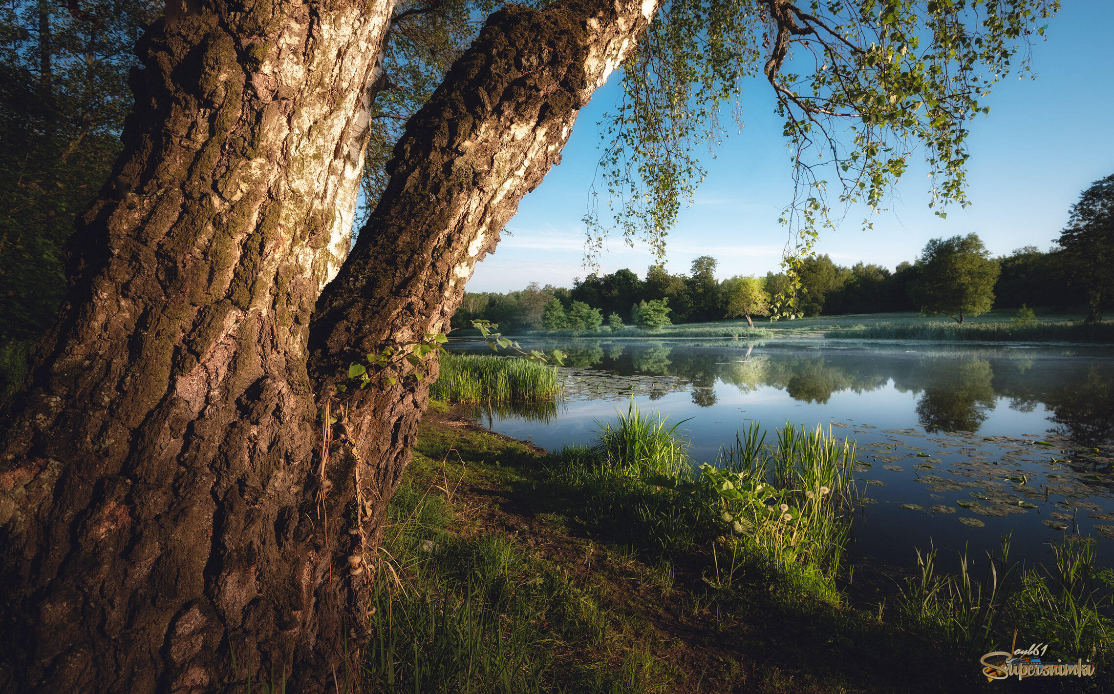 Первое утро лета