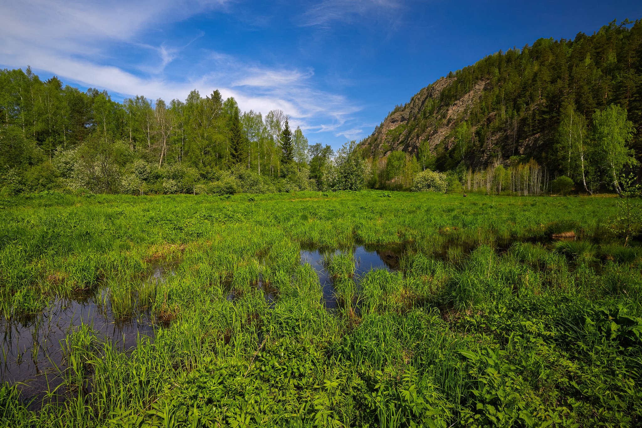 Майское утро.