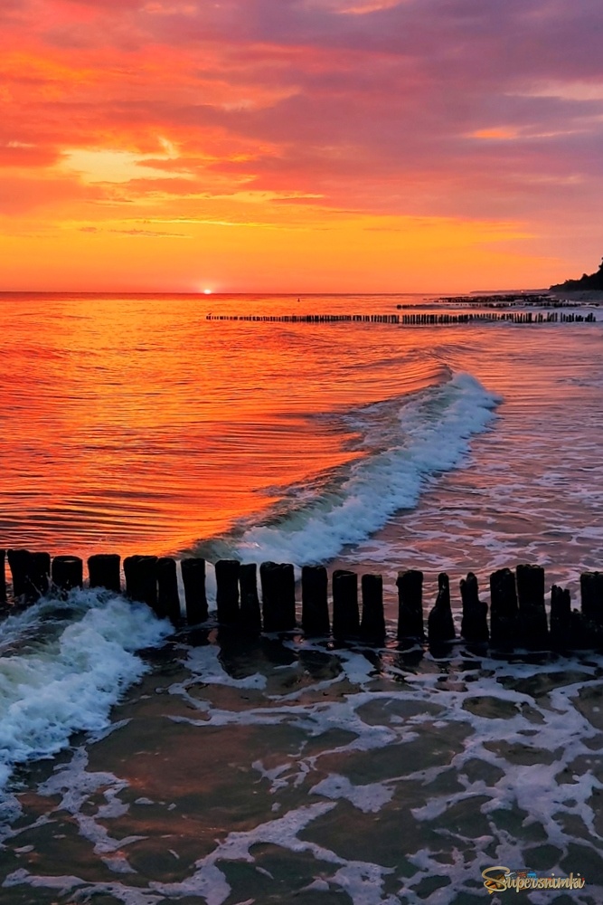 Летние утро