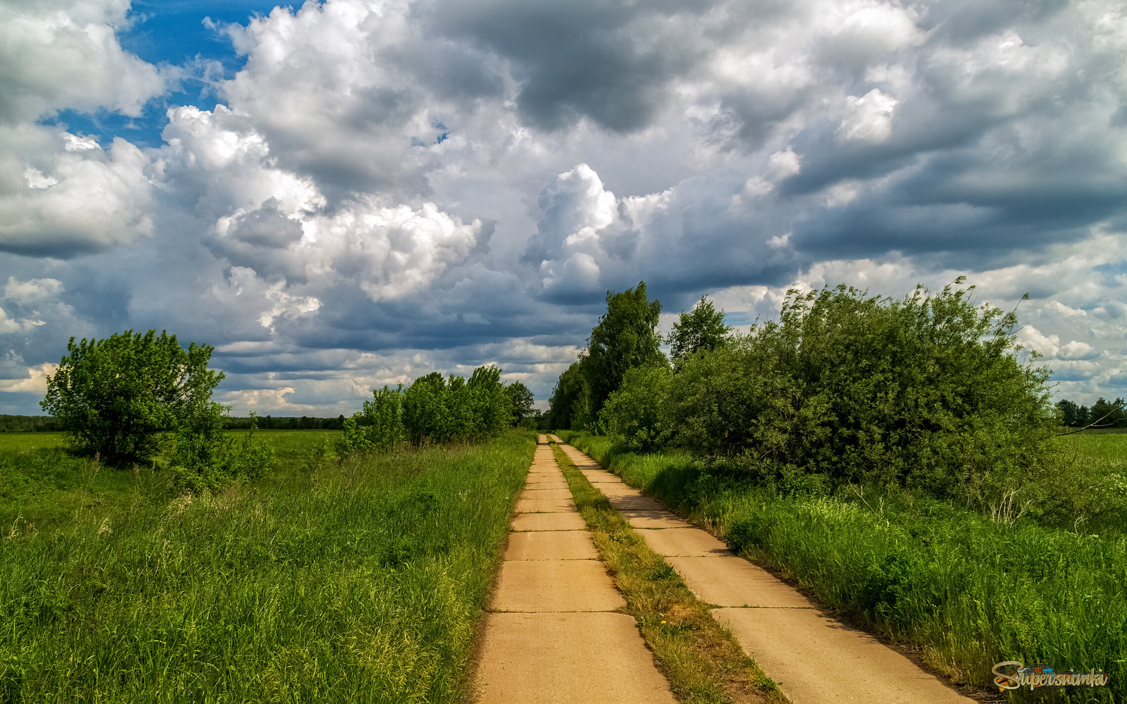 Первый летний день 