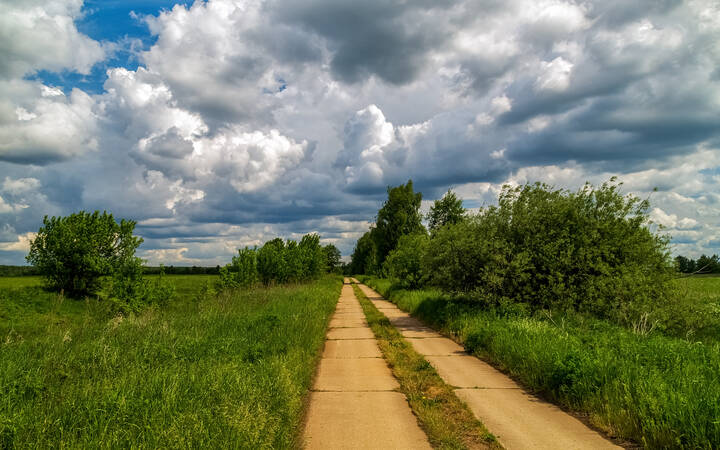 Первый летний день 