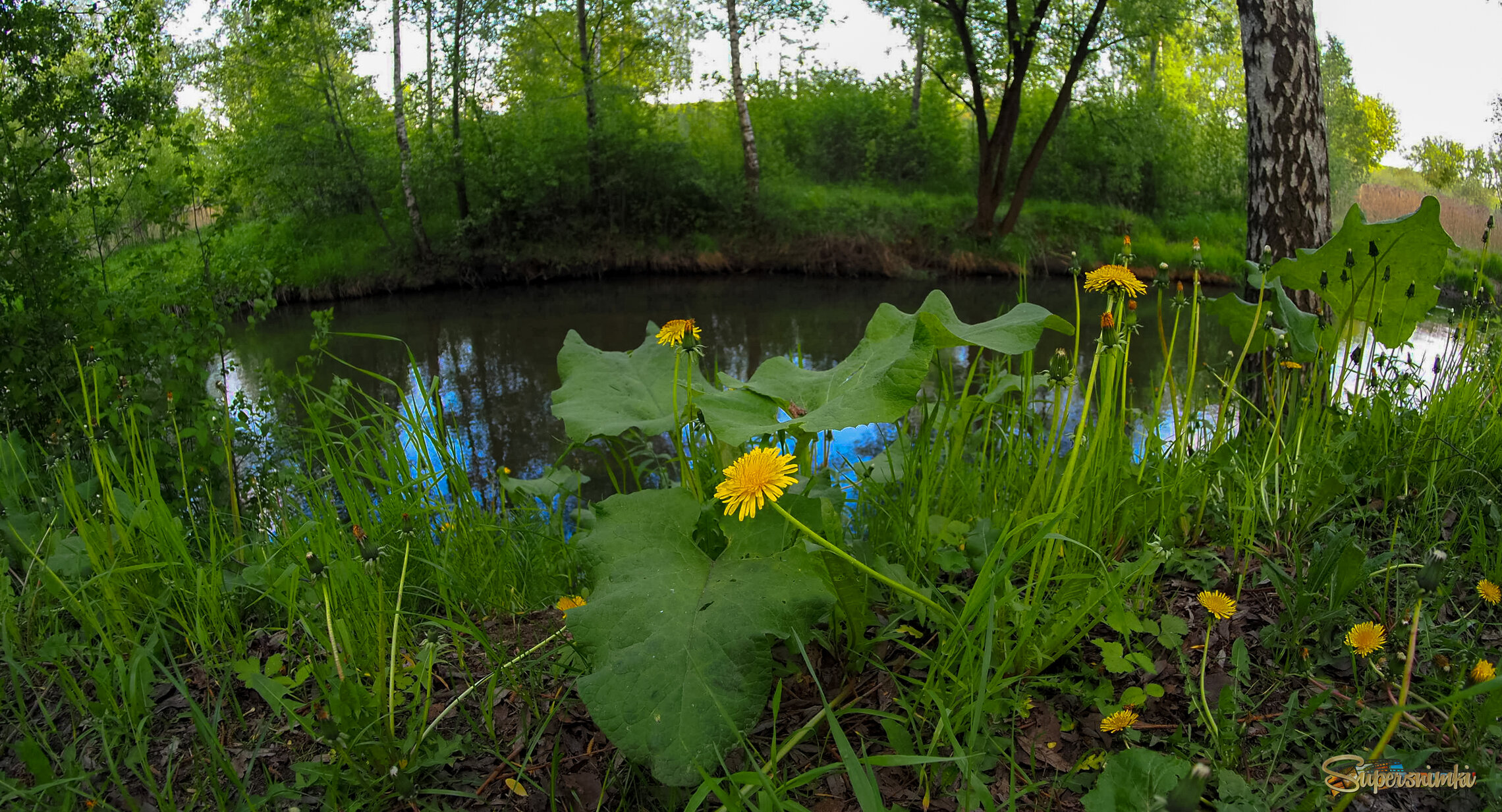 У Тихой Воды