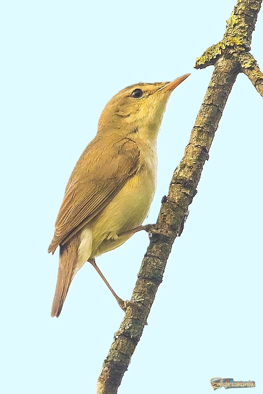 Замерла на секунду