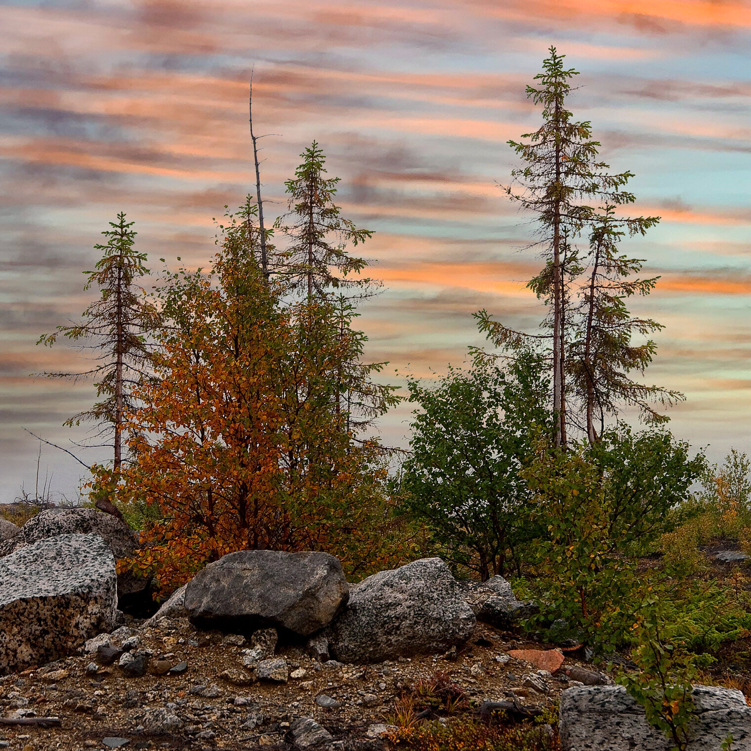 Мончетундра (подножие, предгорье)