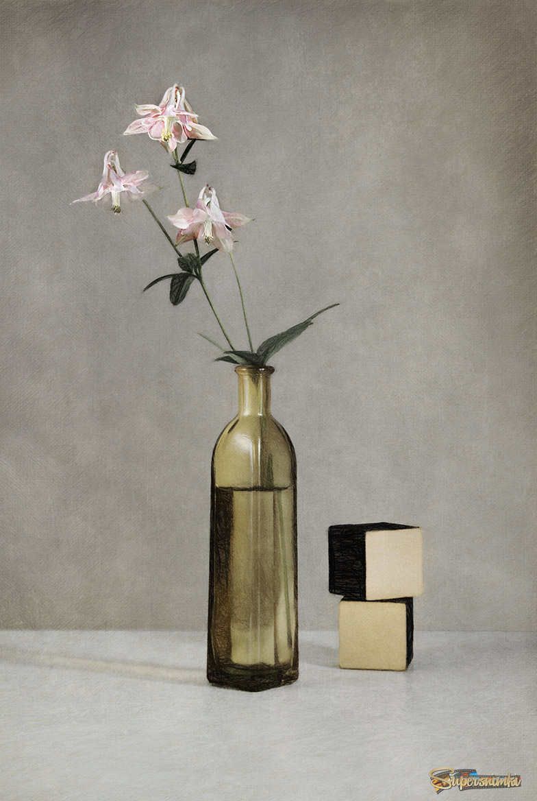 скромный цветок