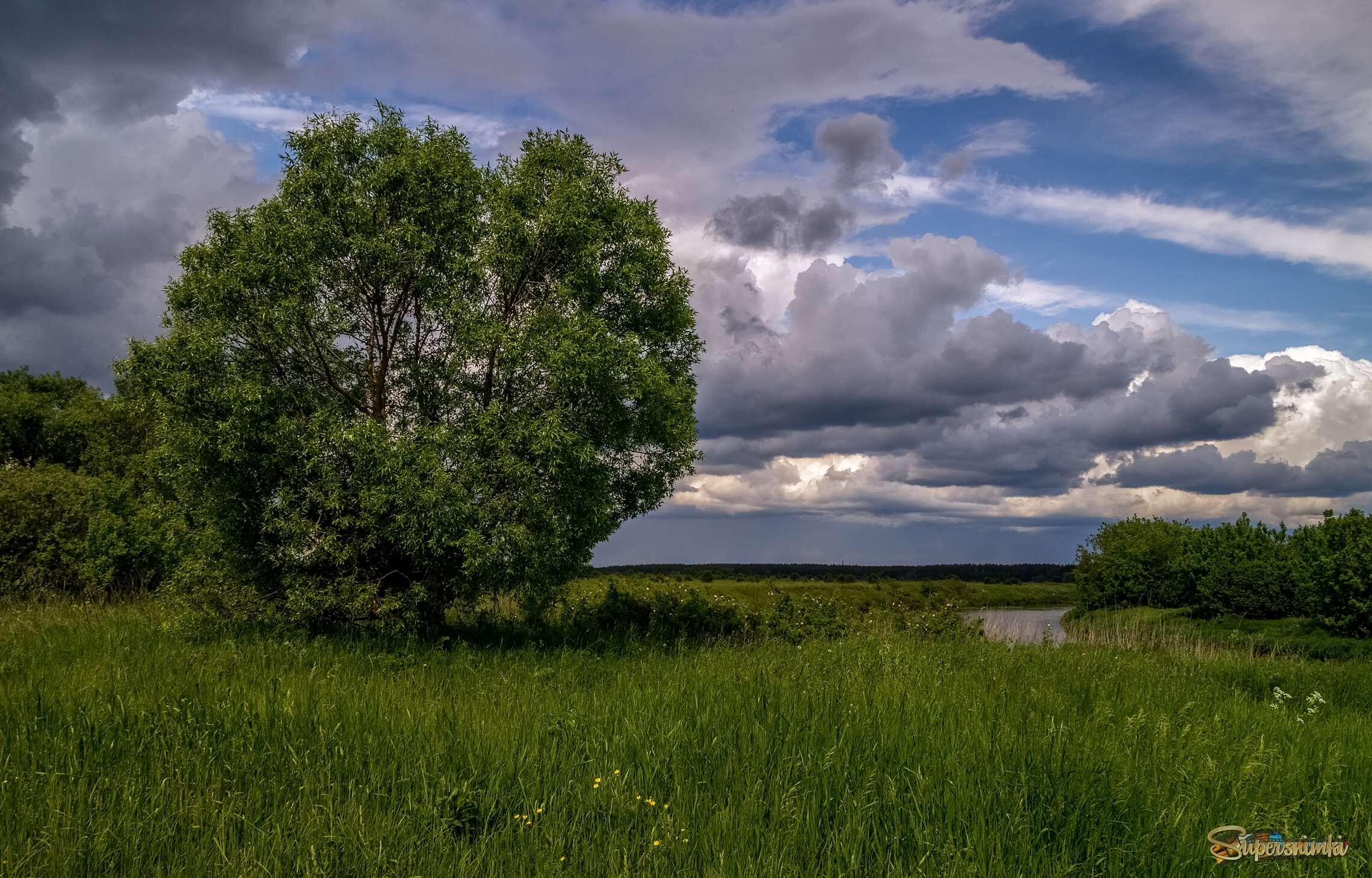 Первый летний день 3 