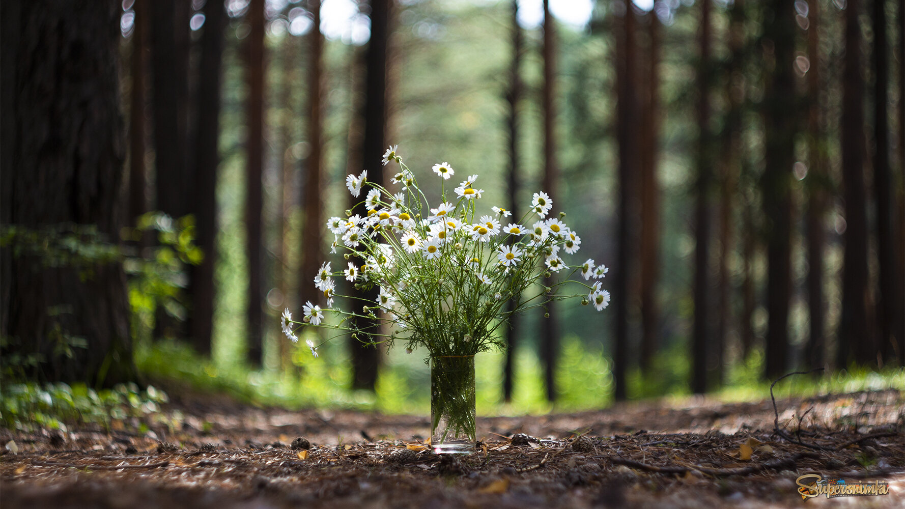 Летний букет