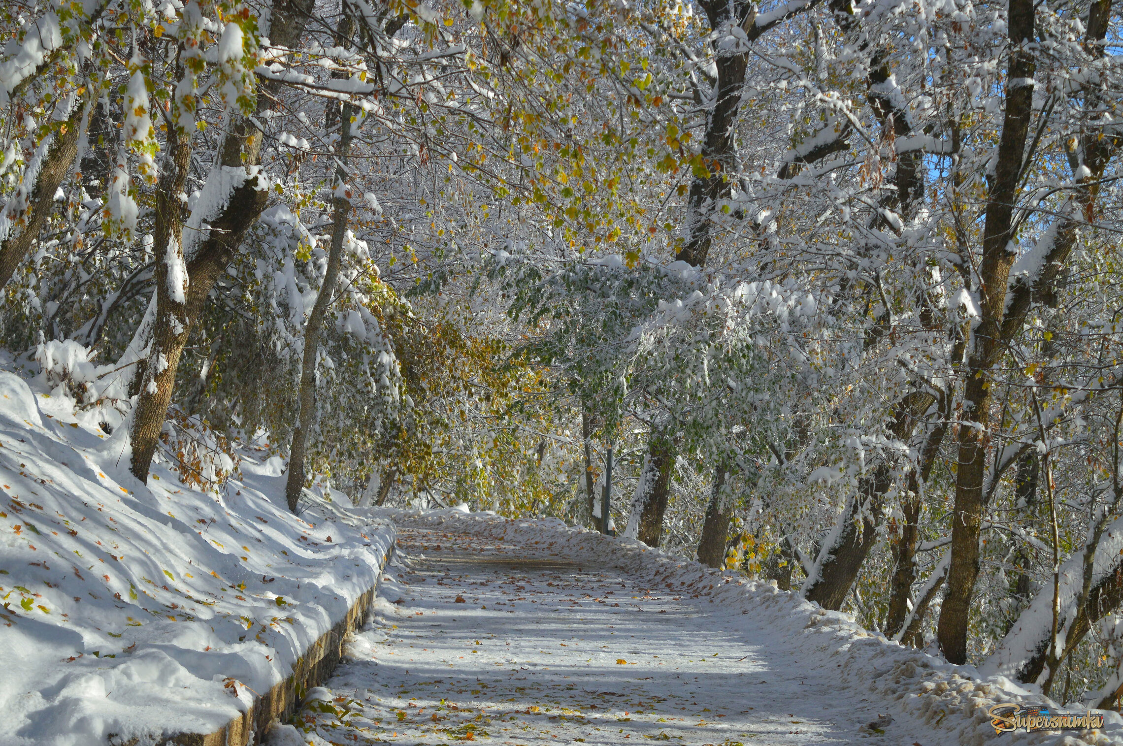 Утром холодным......