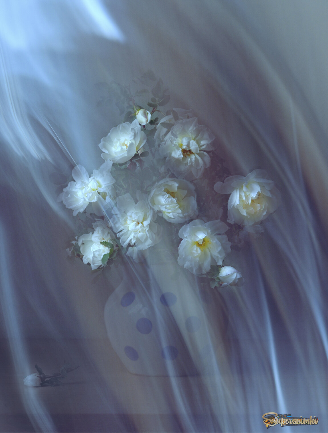 Шиповник - это роза