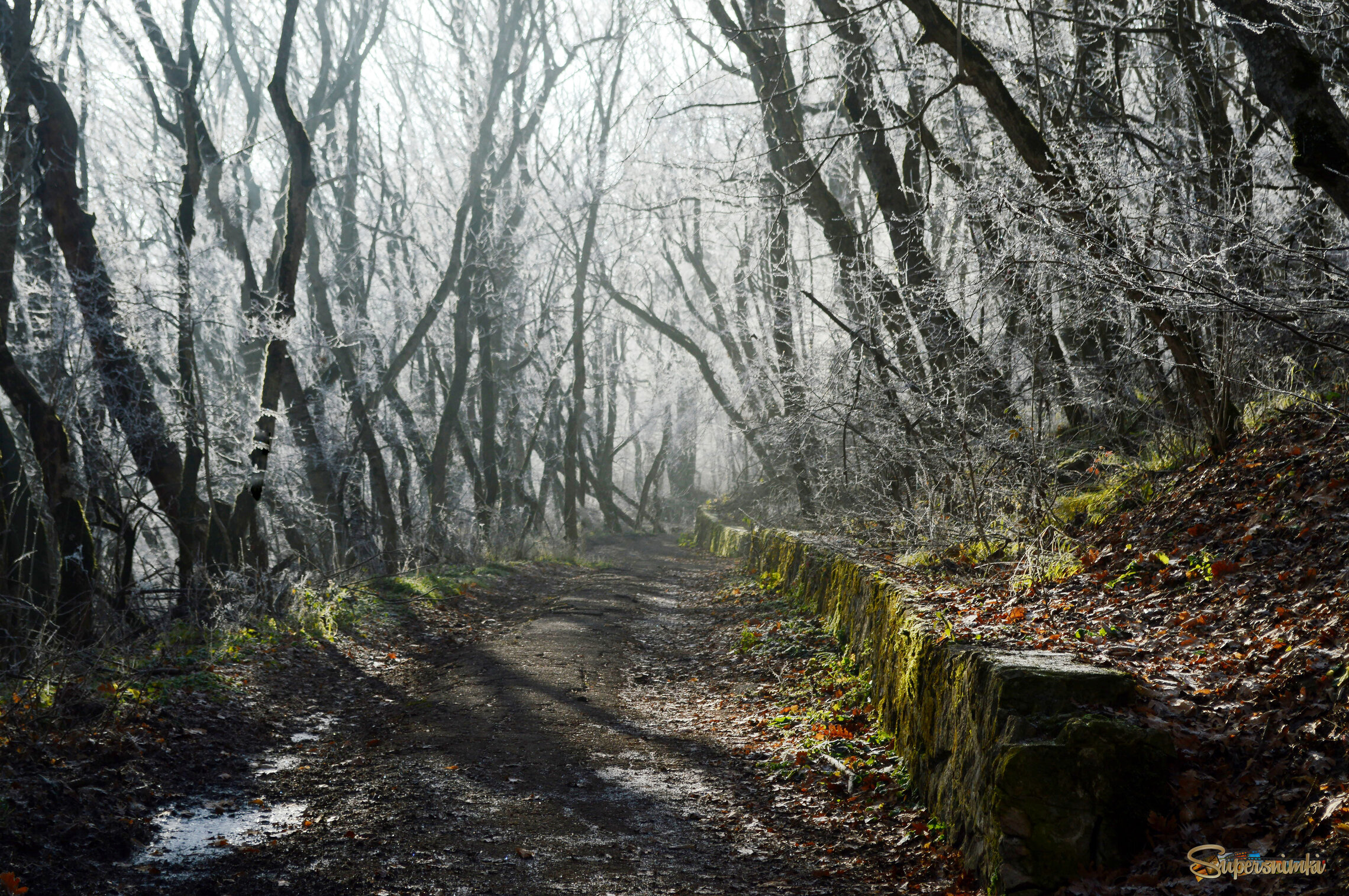 Утром осенним......  