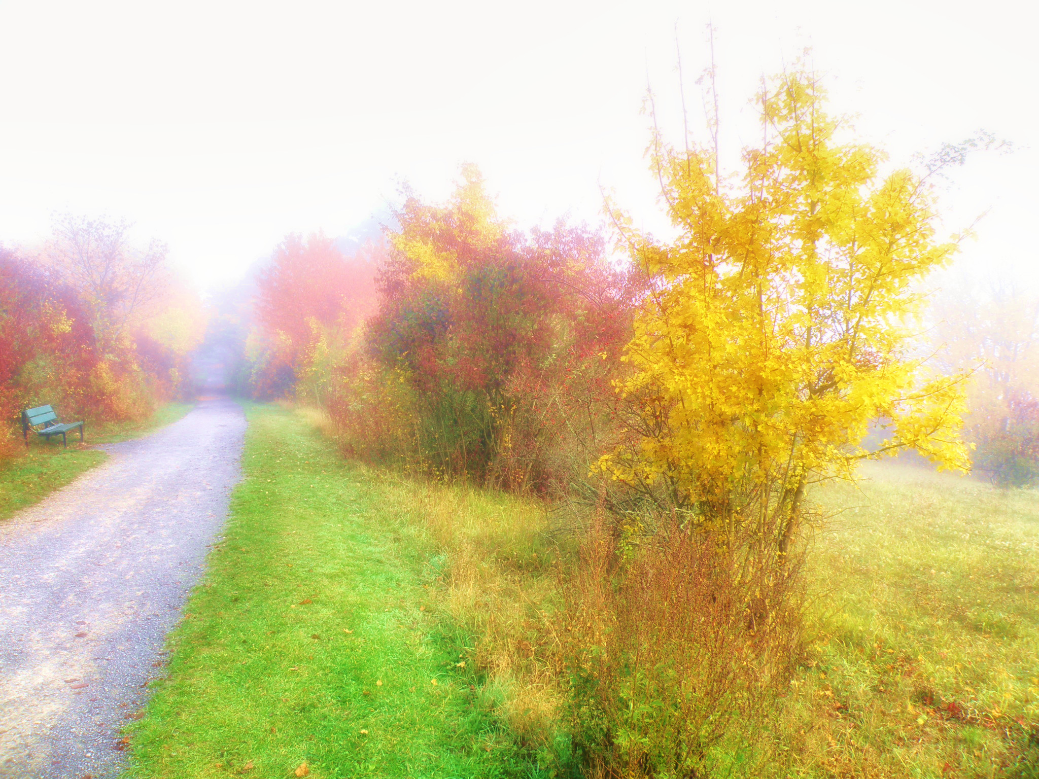 Дорога в туман.