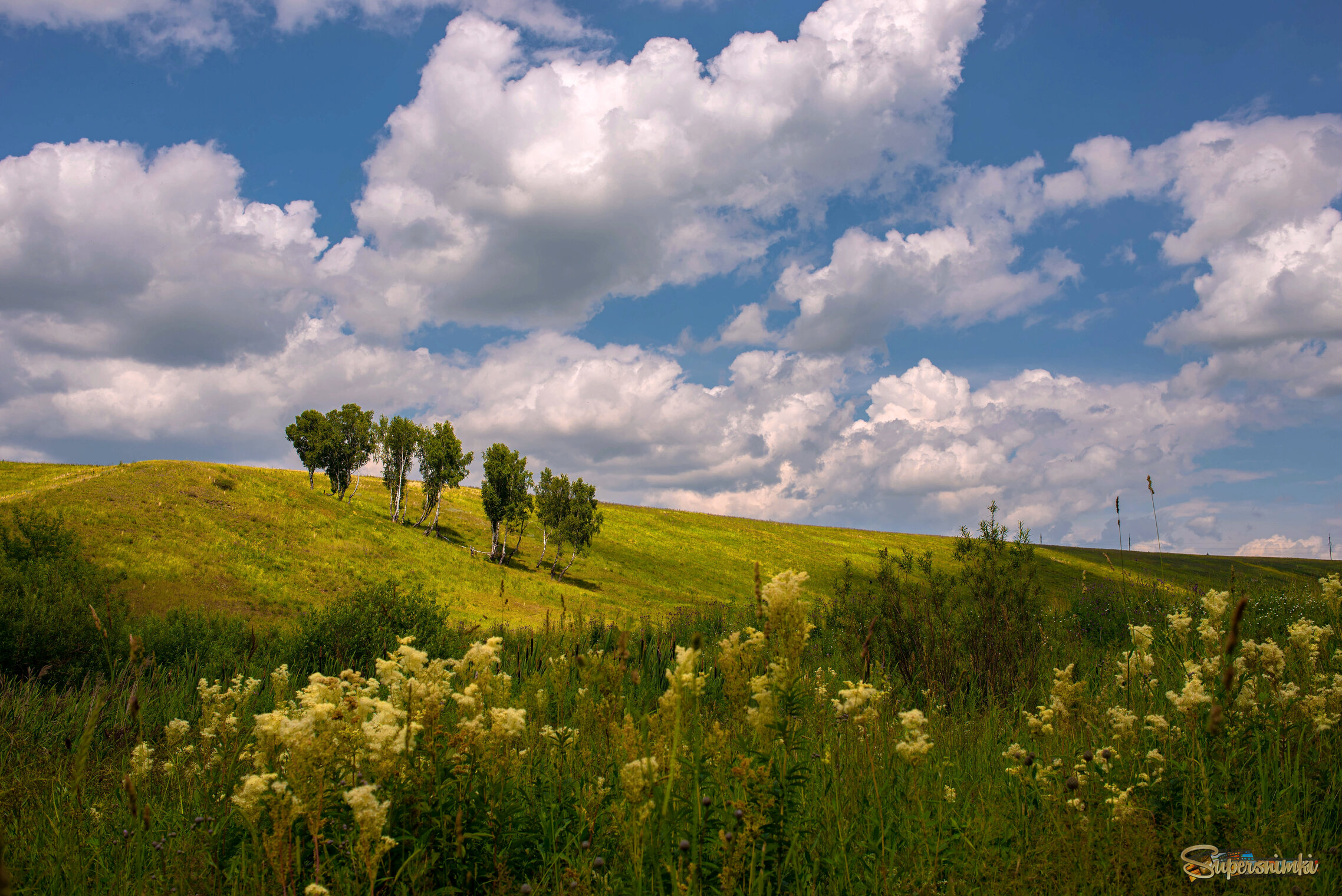 Июльский полдень