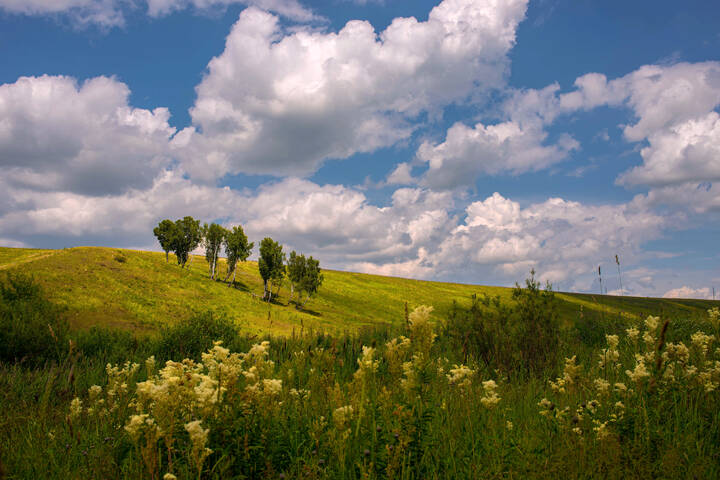 Июльский полдень
