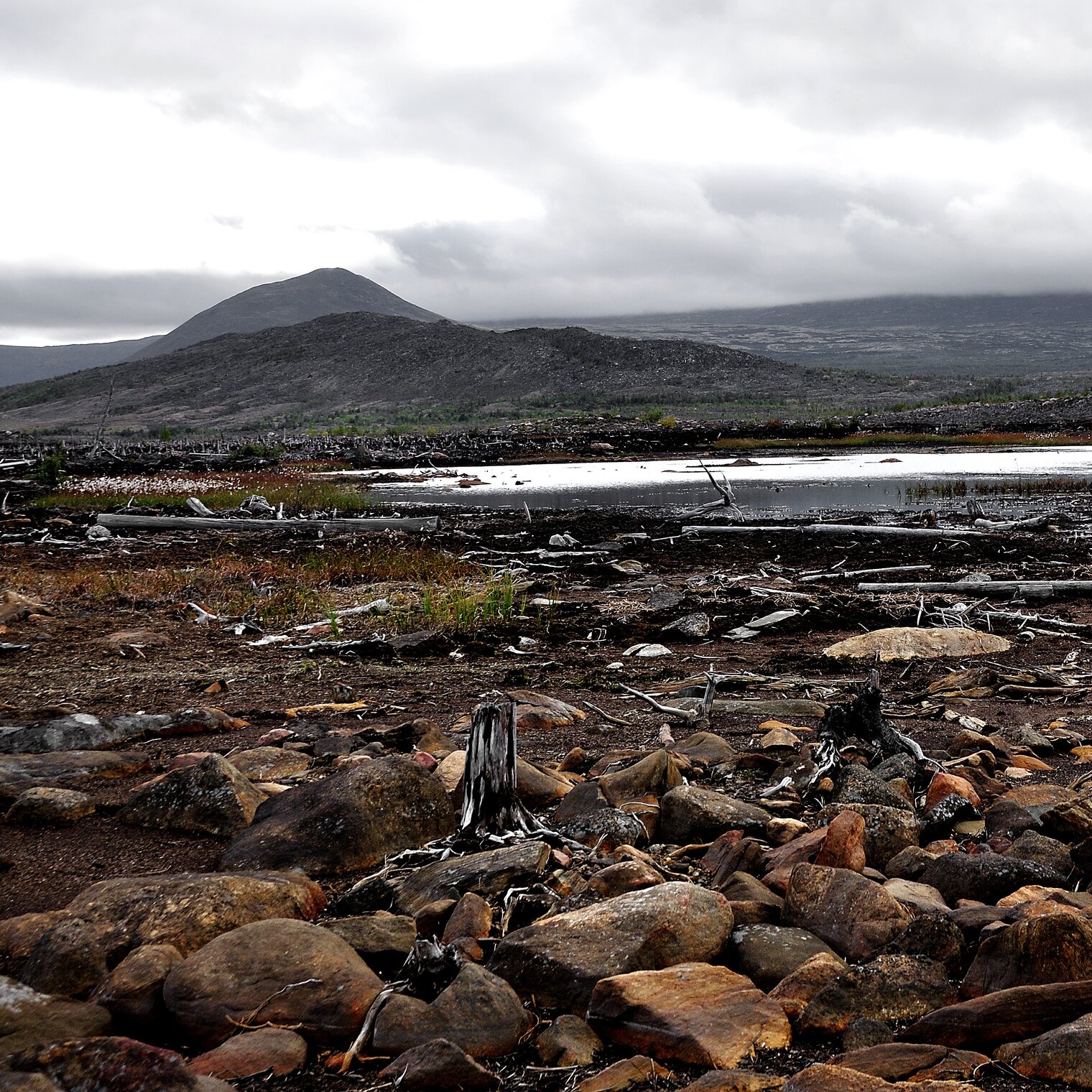 Тундра. Гора Травяная.