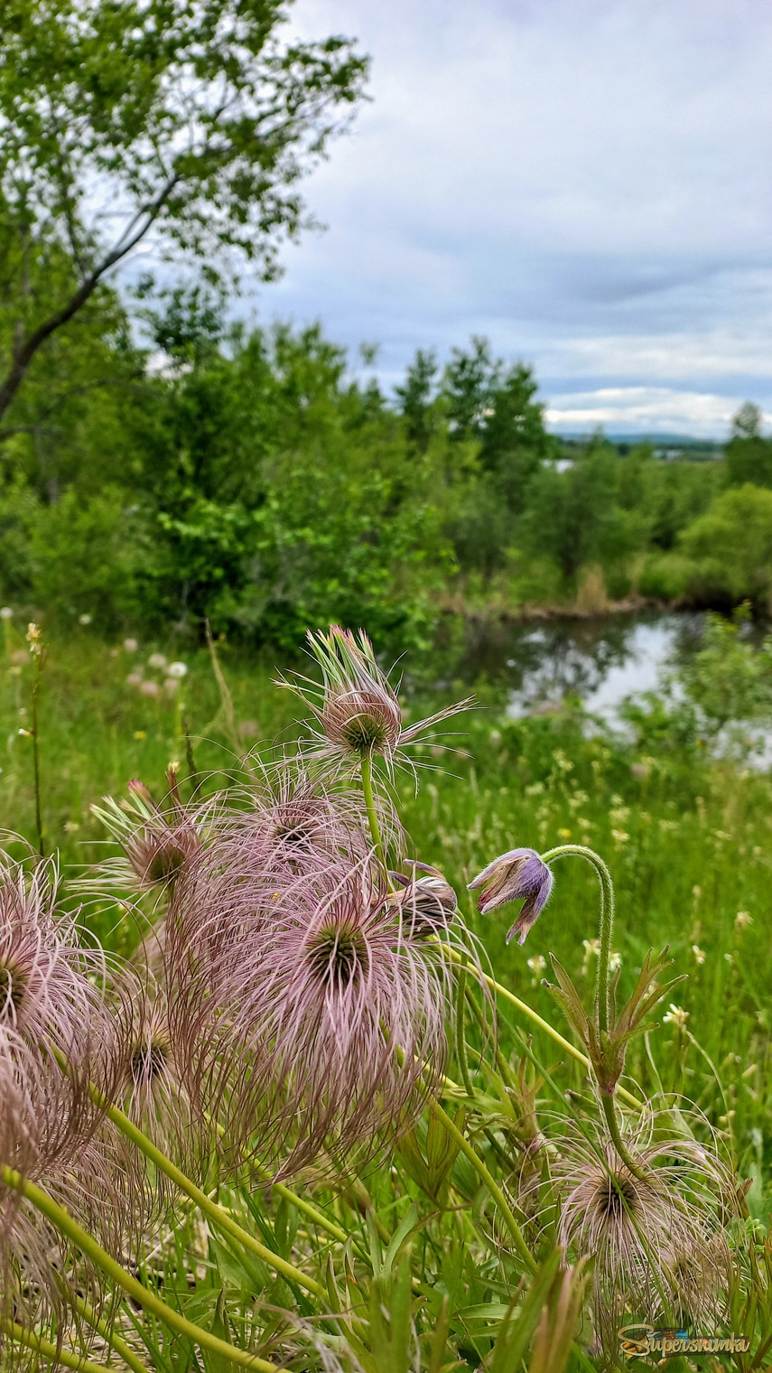 684415ebf150f18ee06389b0