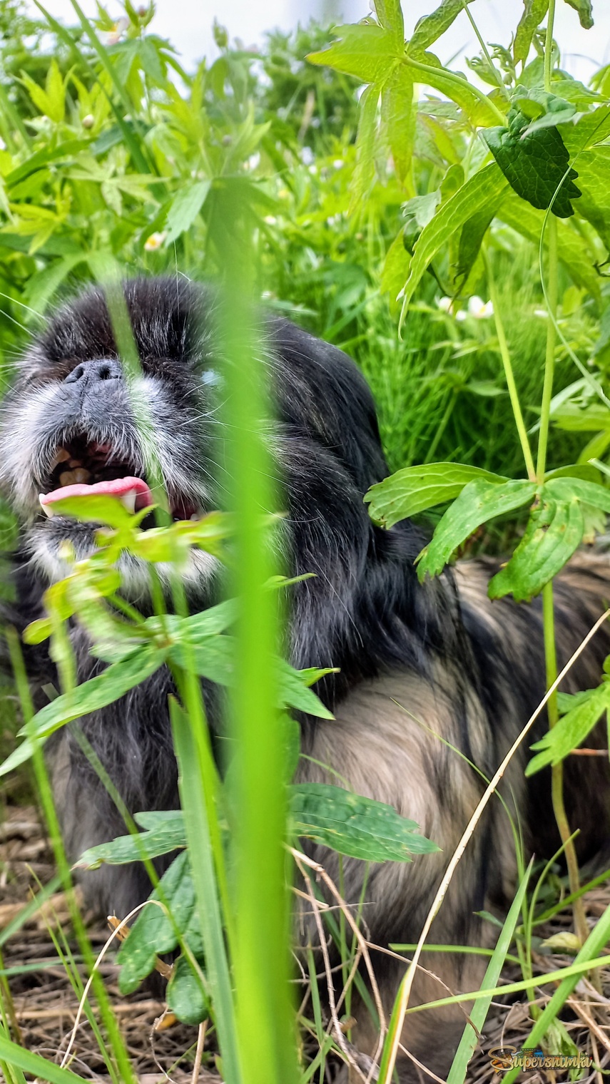 68441600dc9a5190756389b0