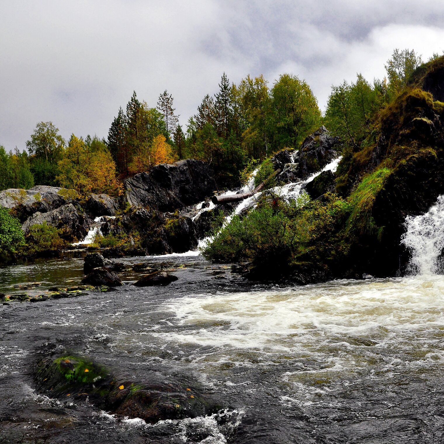Тундра. Водопад на Шуонийоки