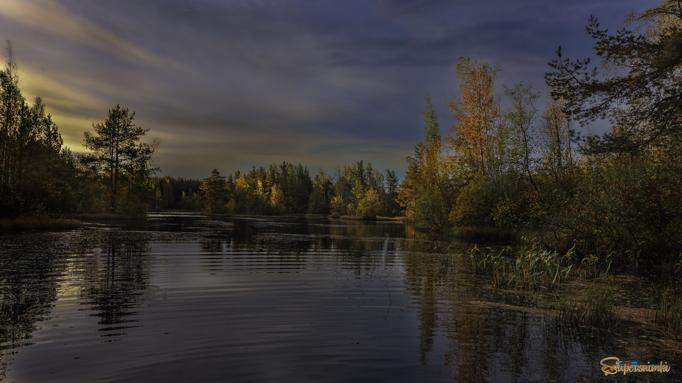 Топи да болота