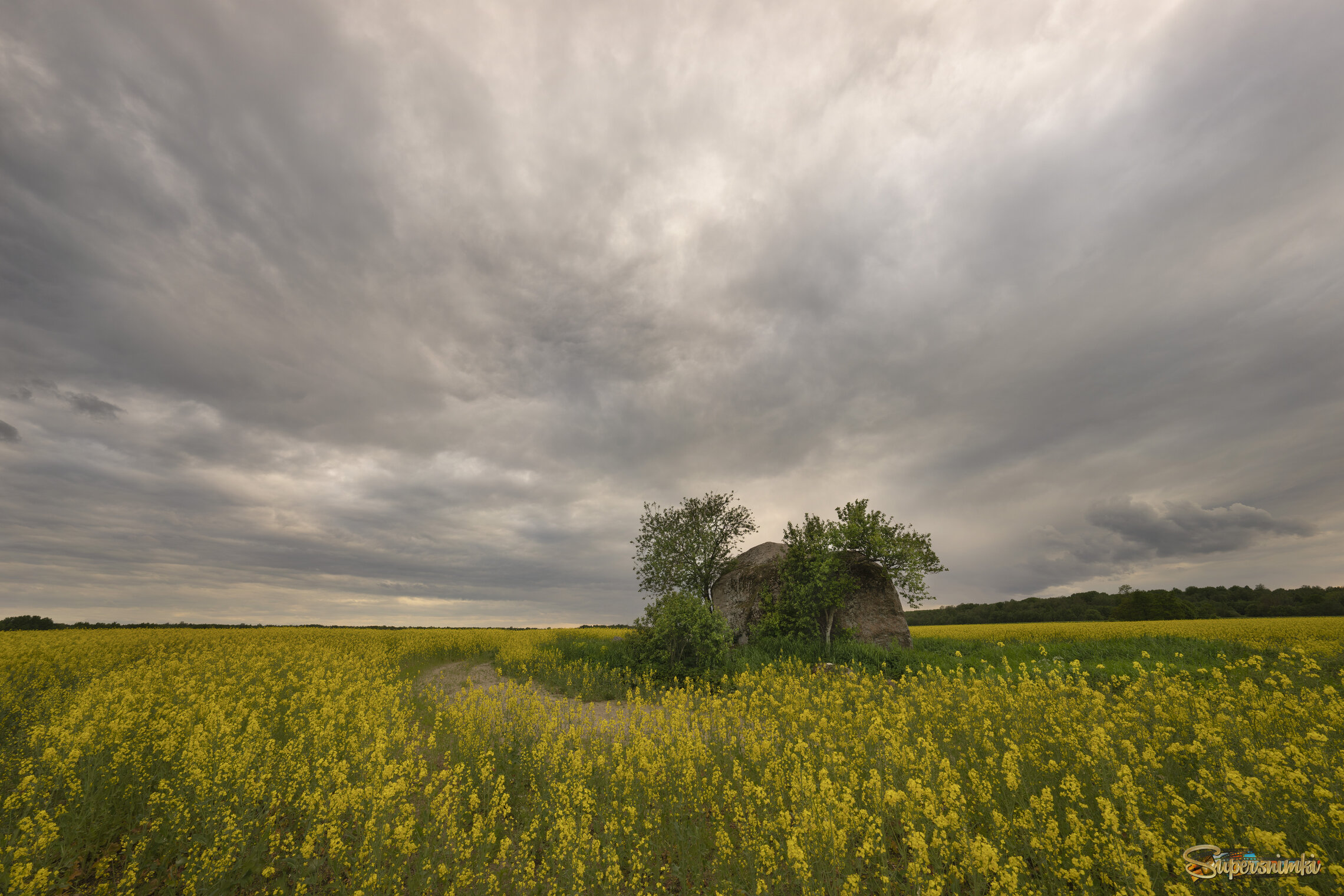 Петровицкий валун.