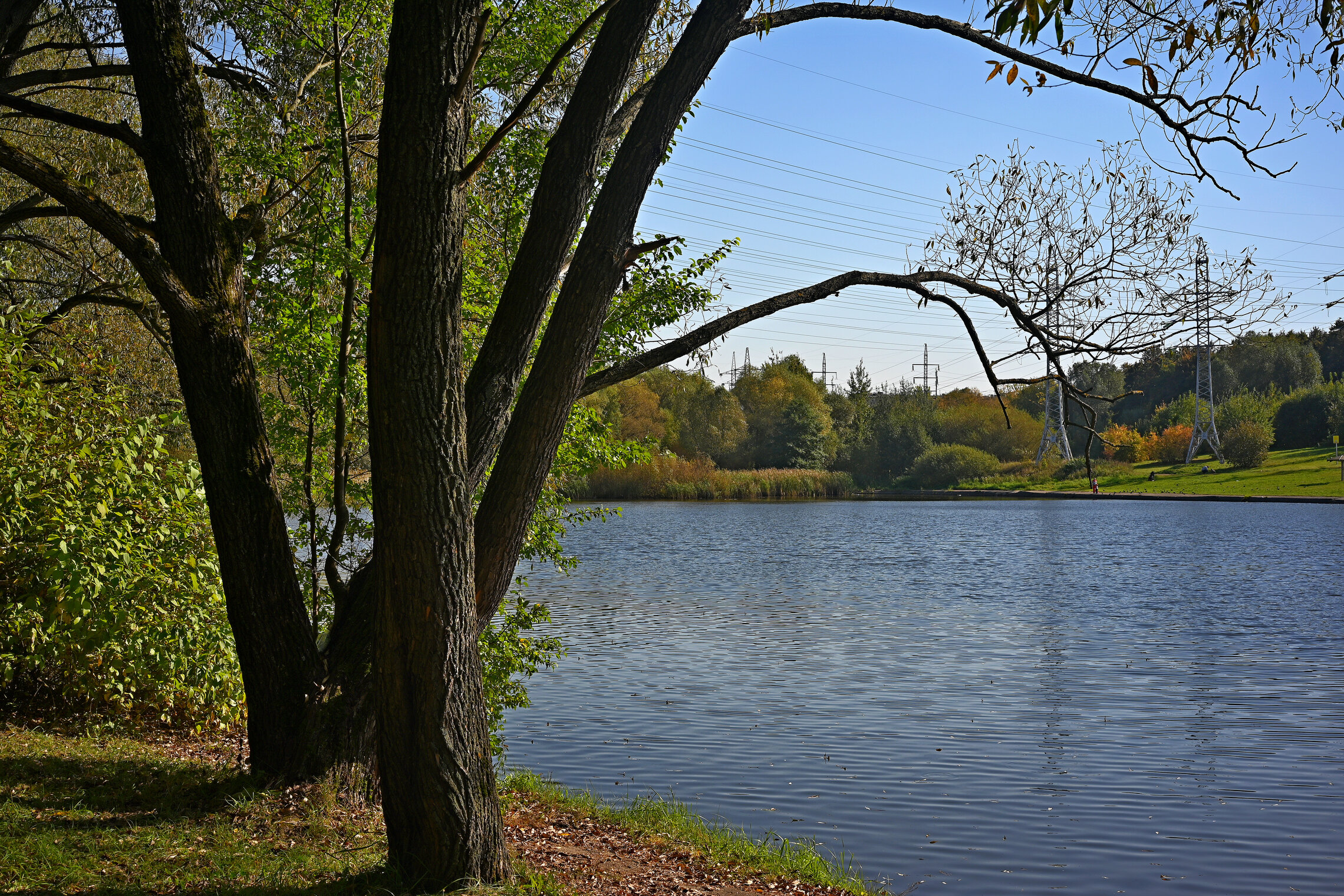 Люблинский пруд