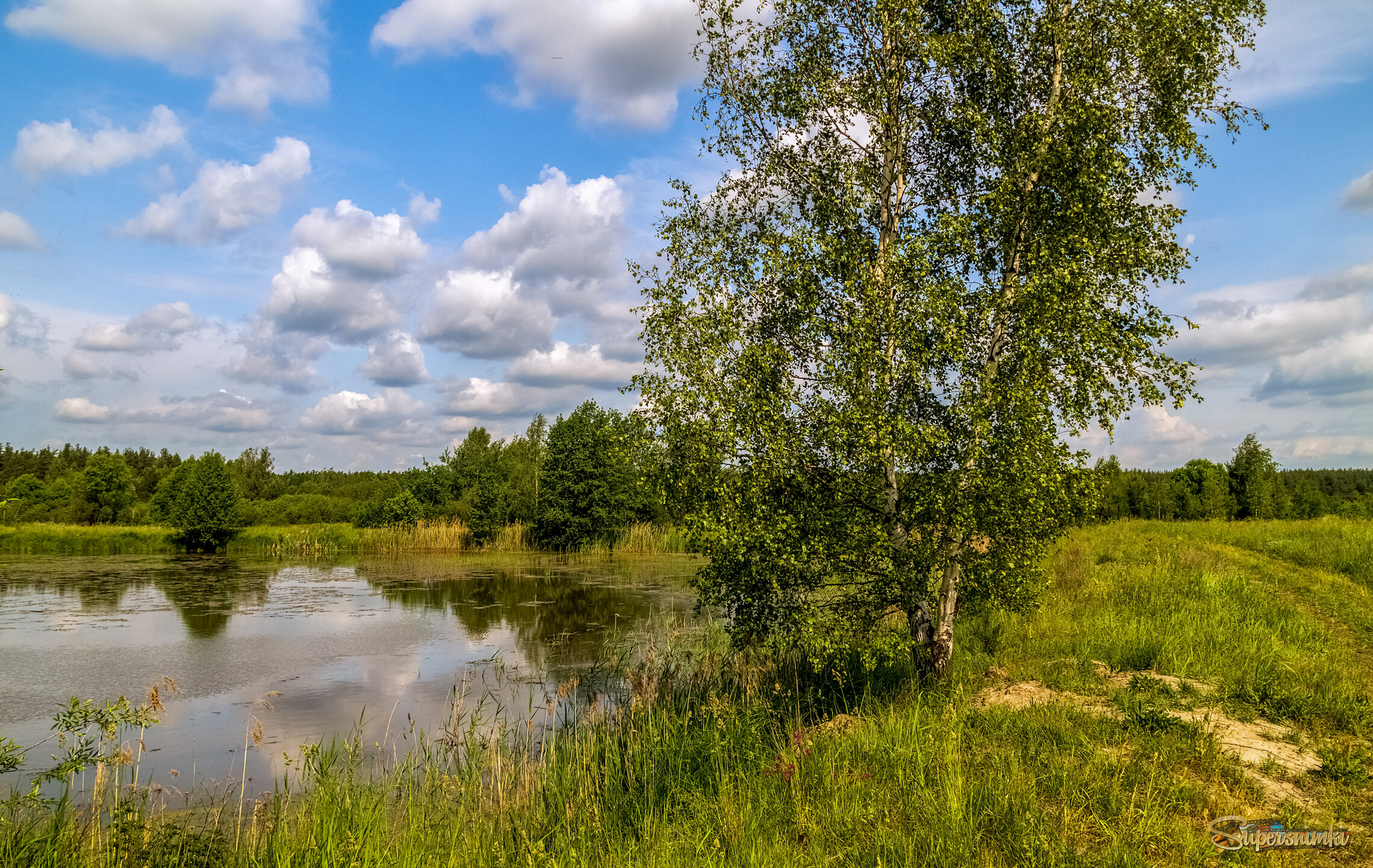 Июньское утро  2