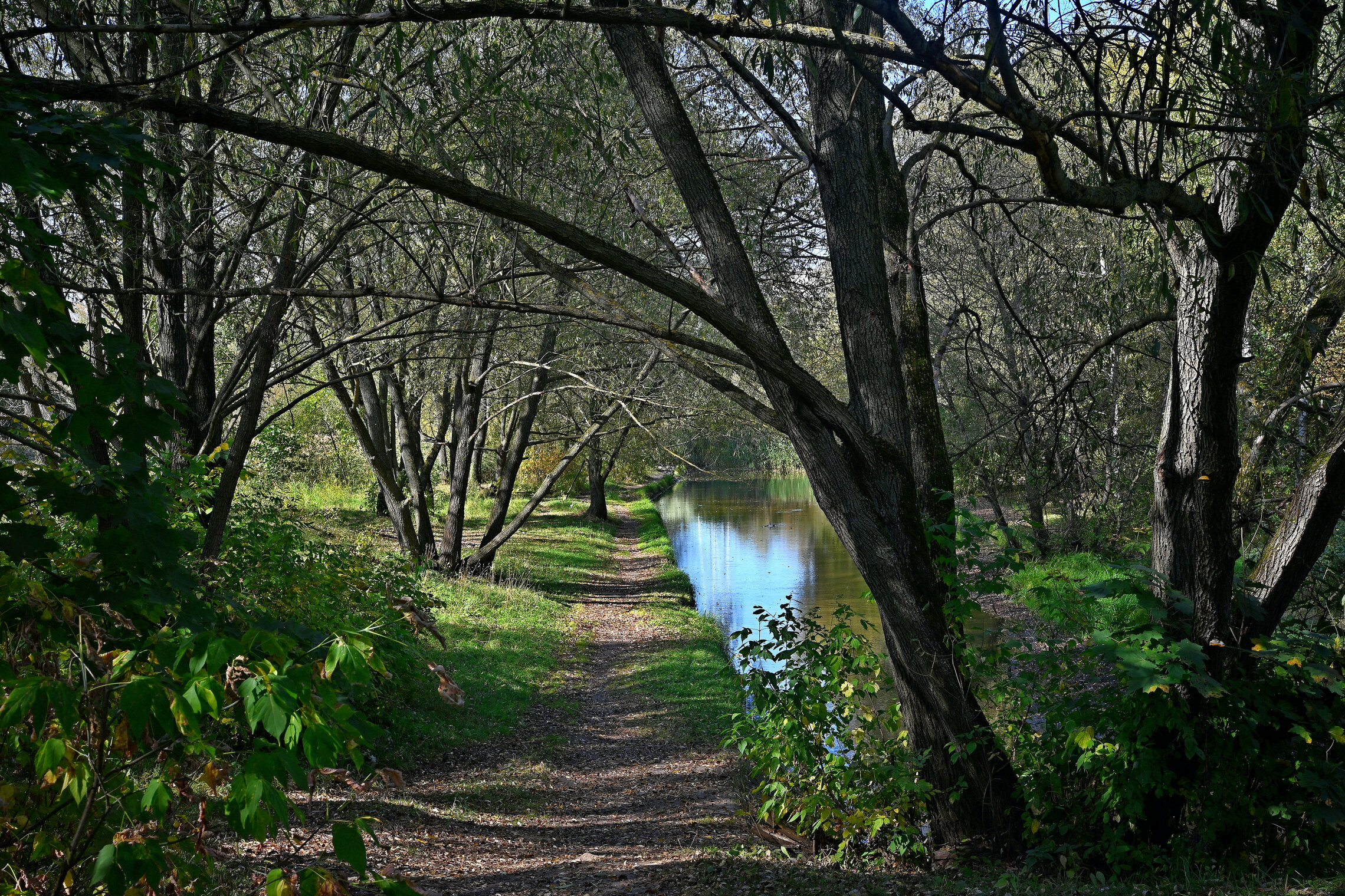 Река Чурилиха