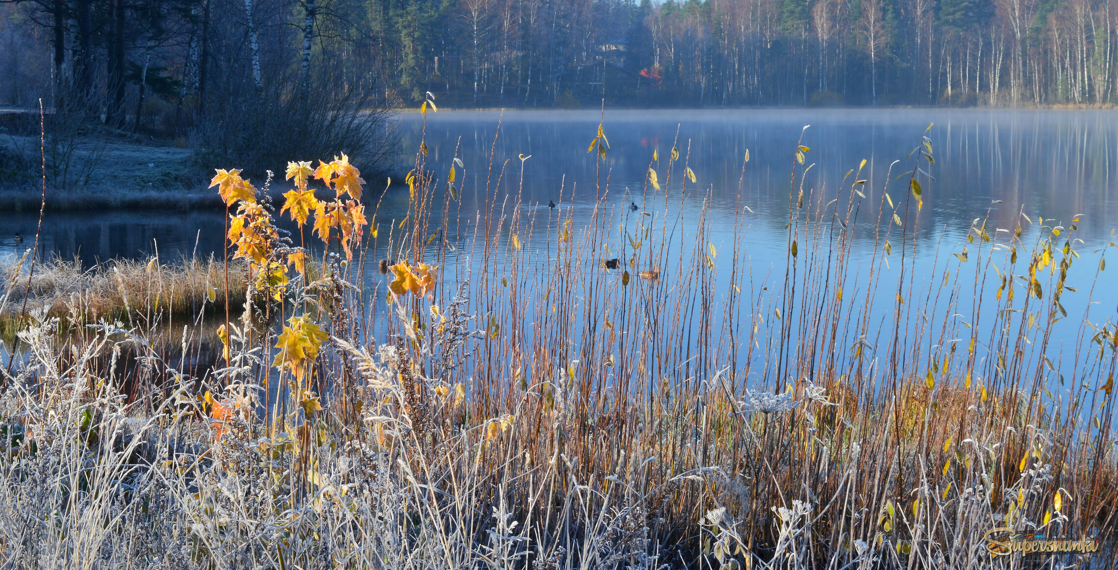 Первый морозец.......