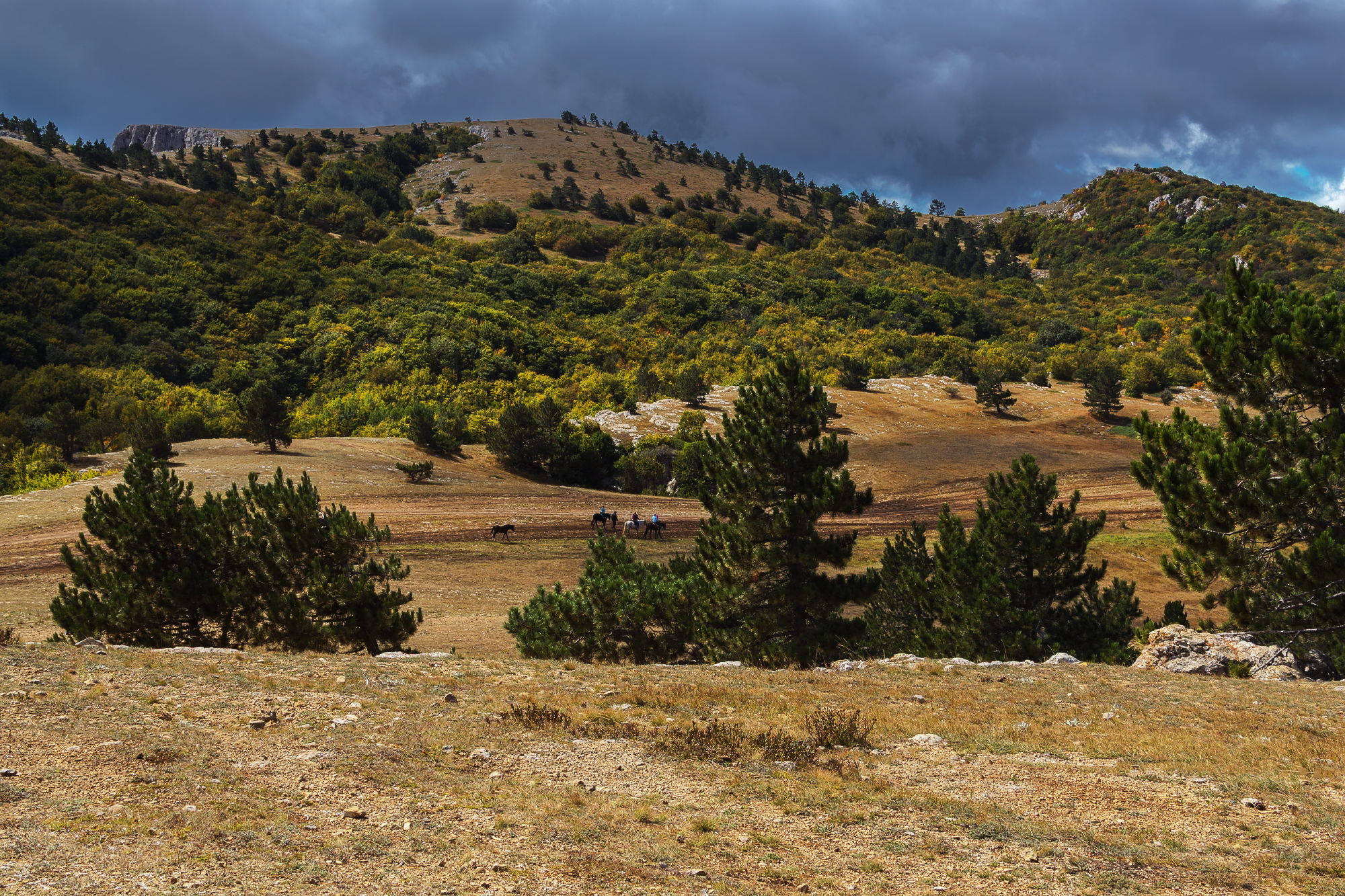 На плато Ай-Петри.