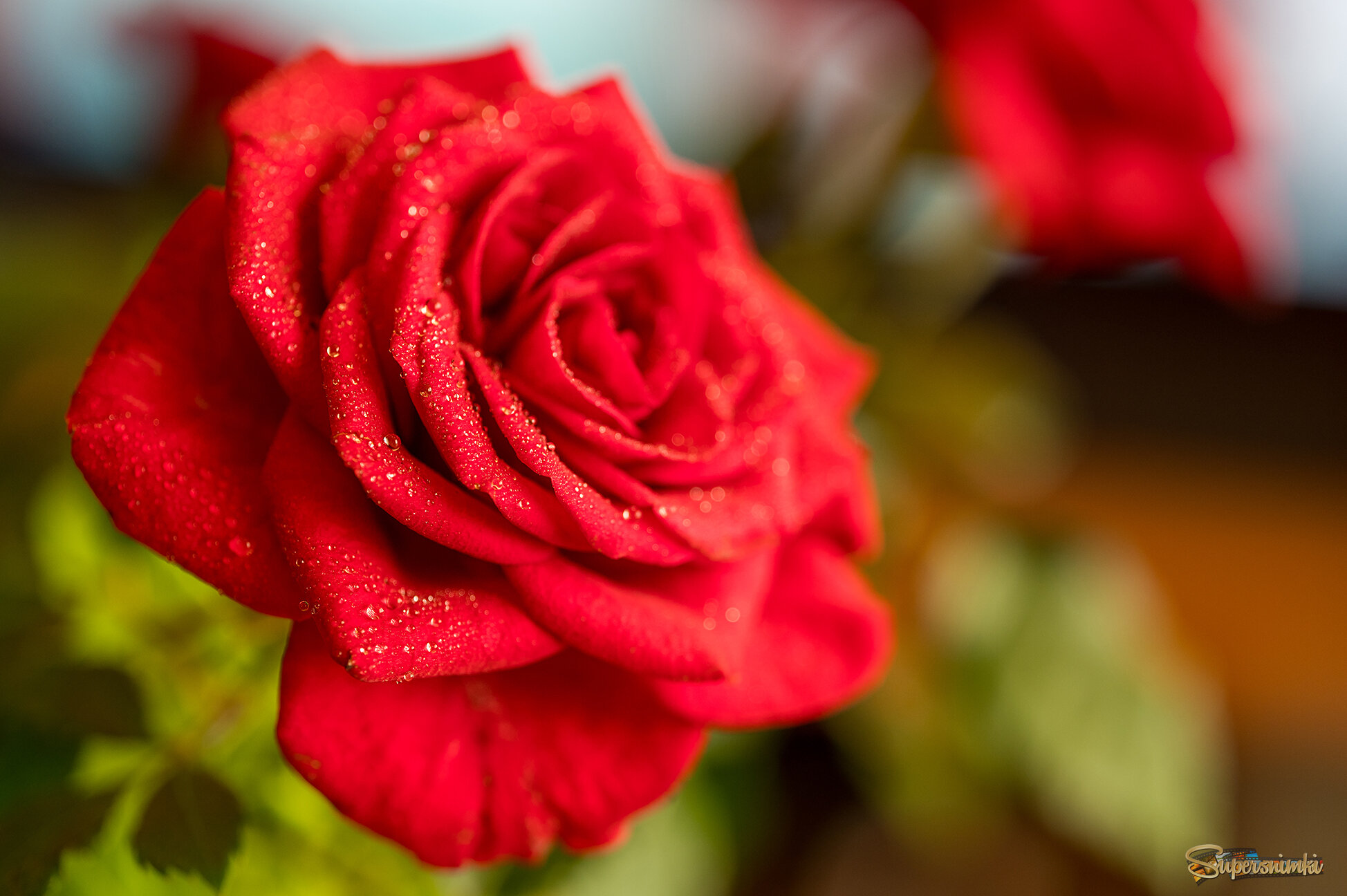 68458d388a8e8dcea46389b0